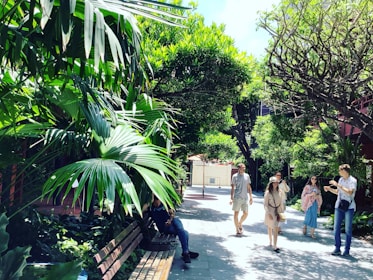 Visitors walking along a shaded path surrounded by tropical plants with volcano views.
