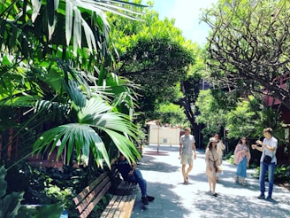 Visitors walking along a shaded nature trail lined with tropical plants.