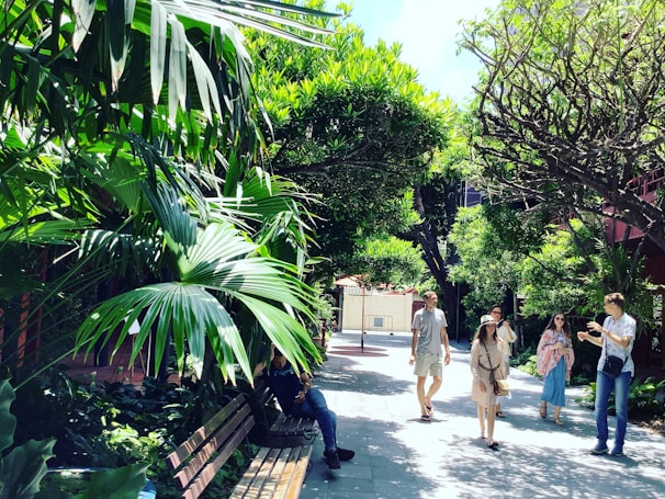 Visitors walking along a shaded nature trail lined with tropical plants.