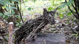 A sculpture of a fox made from intertwined twigs sits on a log in a forest setting. The surrounding area is filled with greenery, including various leaves and plants.