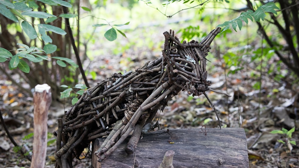a pile of sticks sitting on top of a wooden log