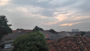 A residential area with numerous rooftops is visible, some covered with red tiles, others with gray shingles. Trees are scattered throughout the area, and in the background, there&rsquo;s a city skyline with several tall buildings under a cloudy sky at sunset.