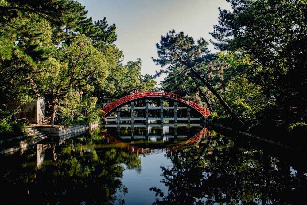 a red bridge over a body of water surrounded by trees