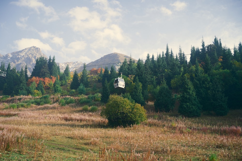 a grassy field with trees and mountains in the background