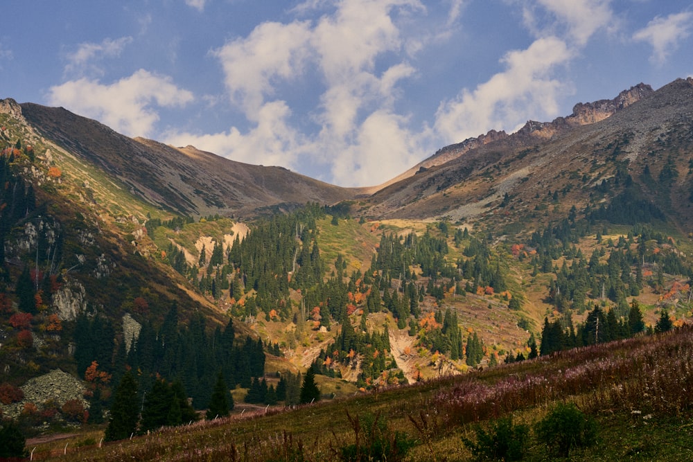 a scenic view of a valley with mountains in the background