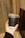 A hand holding a black disposable cup with a plastic lid and a black straw. The cup has white lettering that says 'GET YOUR 'MEDS' NOW'. The hand is adorned with a thin ring. In the background, there are beige curtains and a part of a dark-colored object, possibly a piece of furniture.