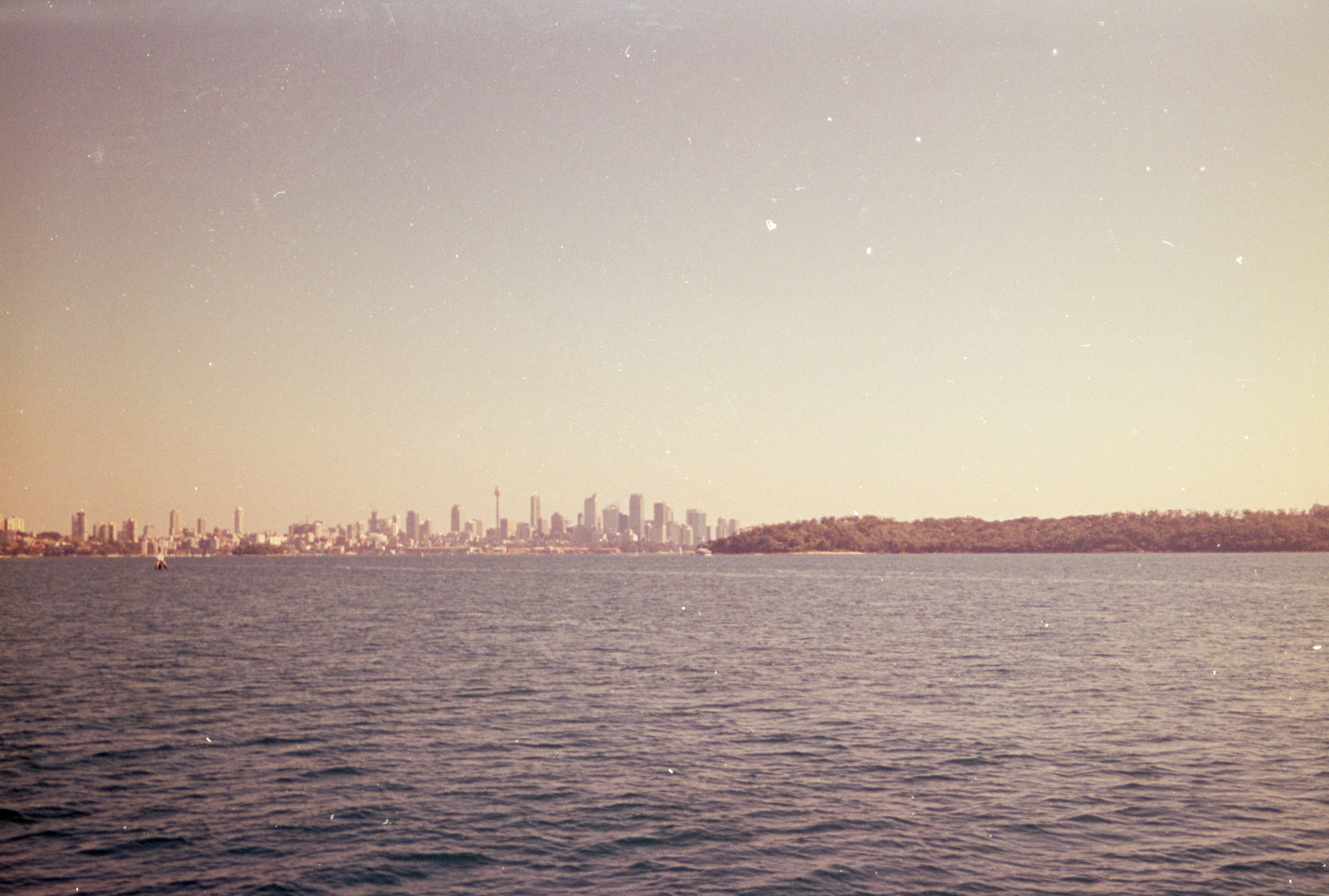 Photo by anniespratt