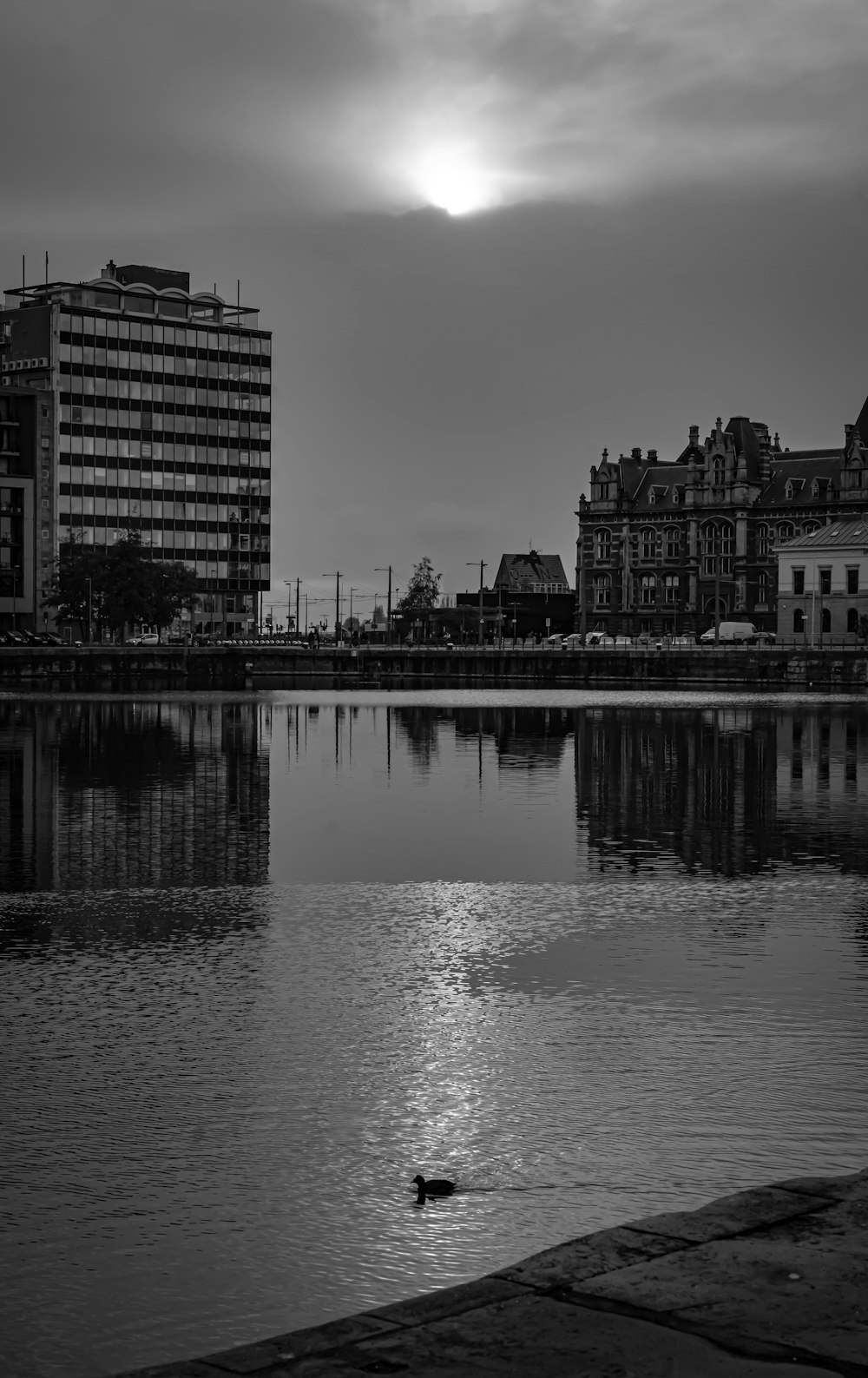 a black and white photo of a lake with buildings in the background