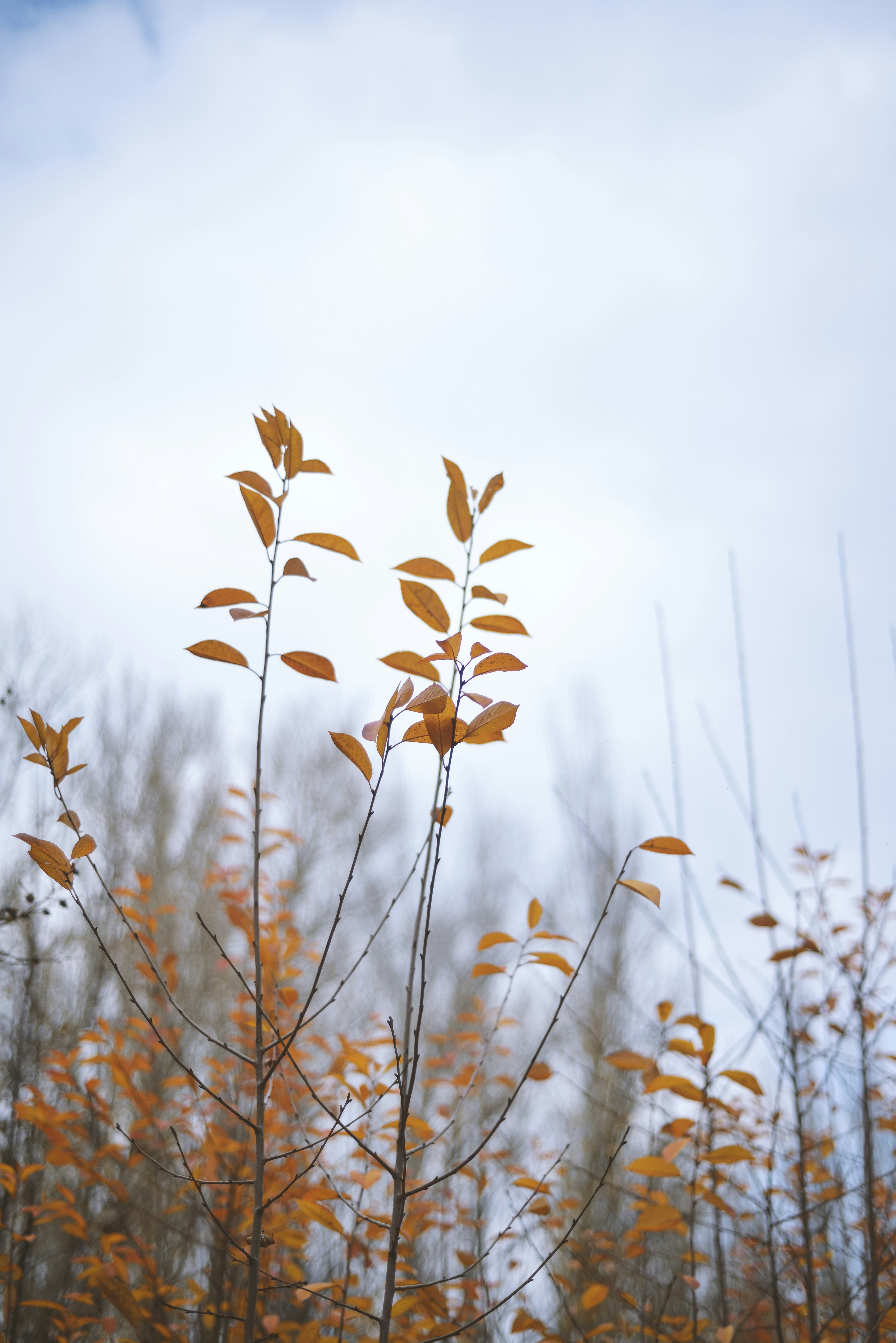 Photo by rfrsrh