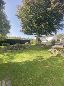 A lush green garden area featuring several wooden picnic tables underneath a large, leafy tree. The grass is well-maintained and there are a few fallen leaves scattered on it. In the background, a white house with a sloped roof is partially visible.