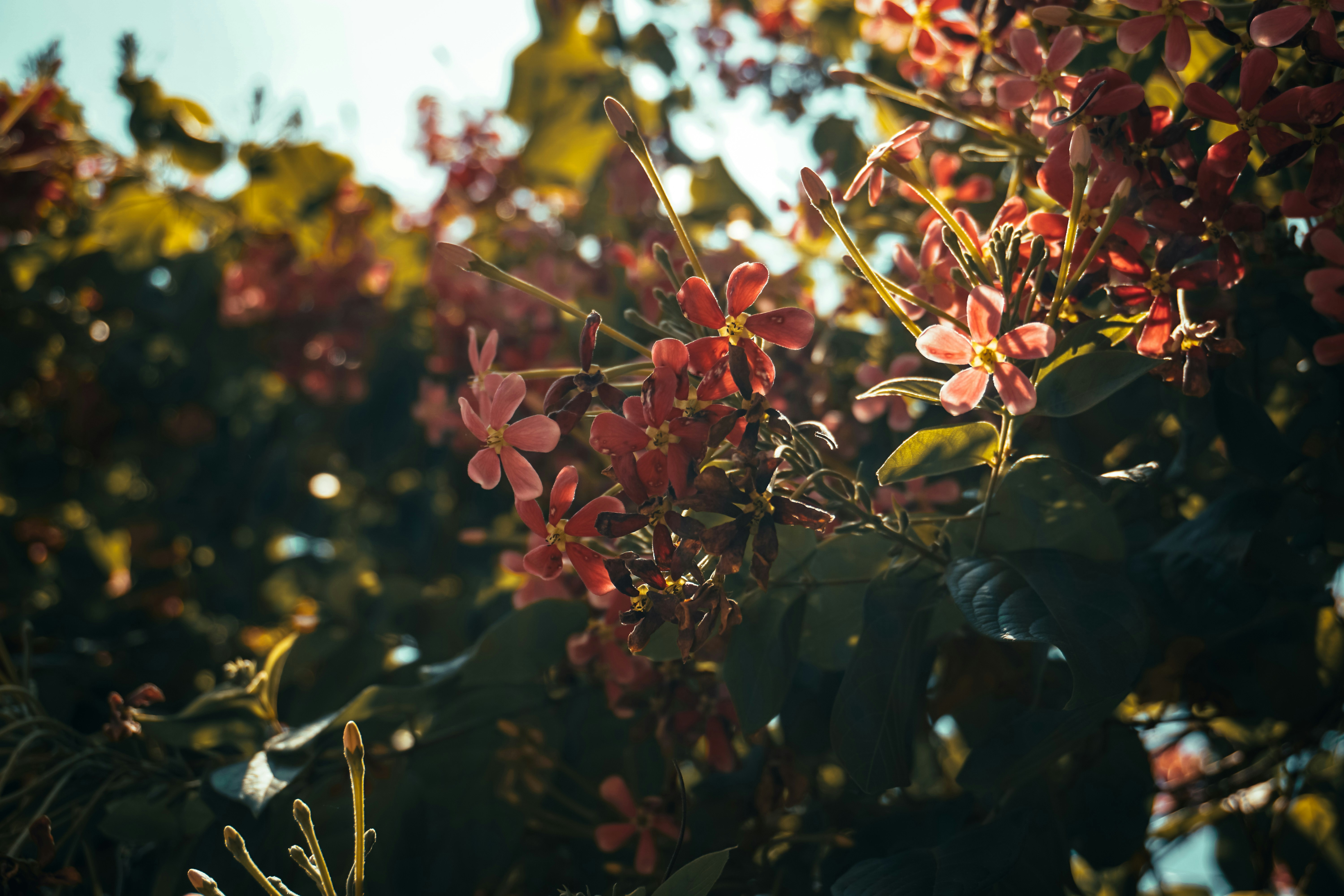 Photo by mrnobody91239