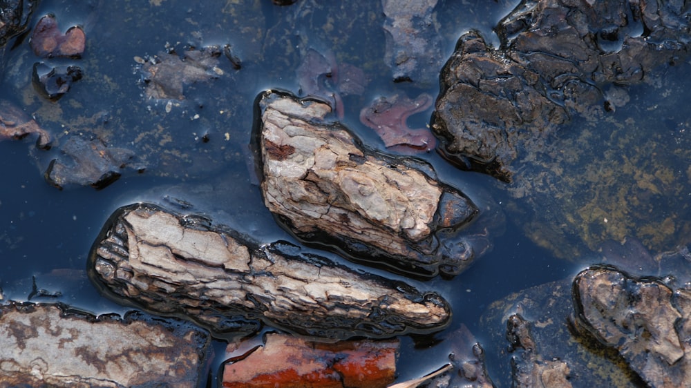 some rocks in a body of water