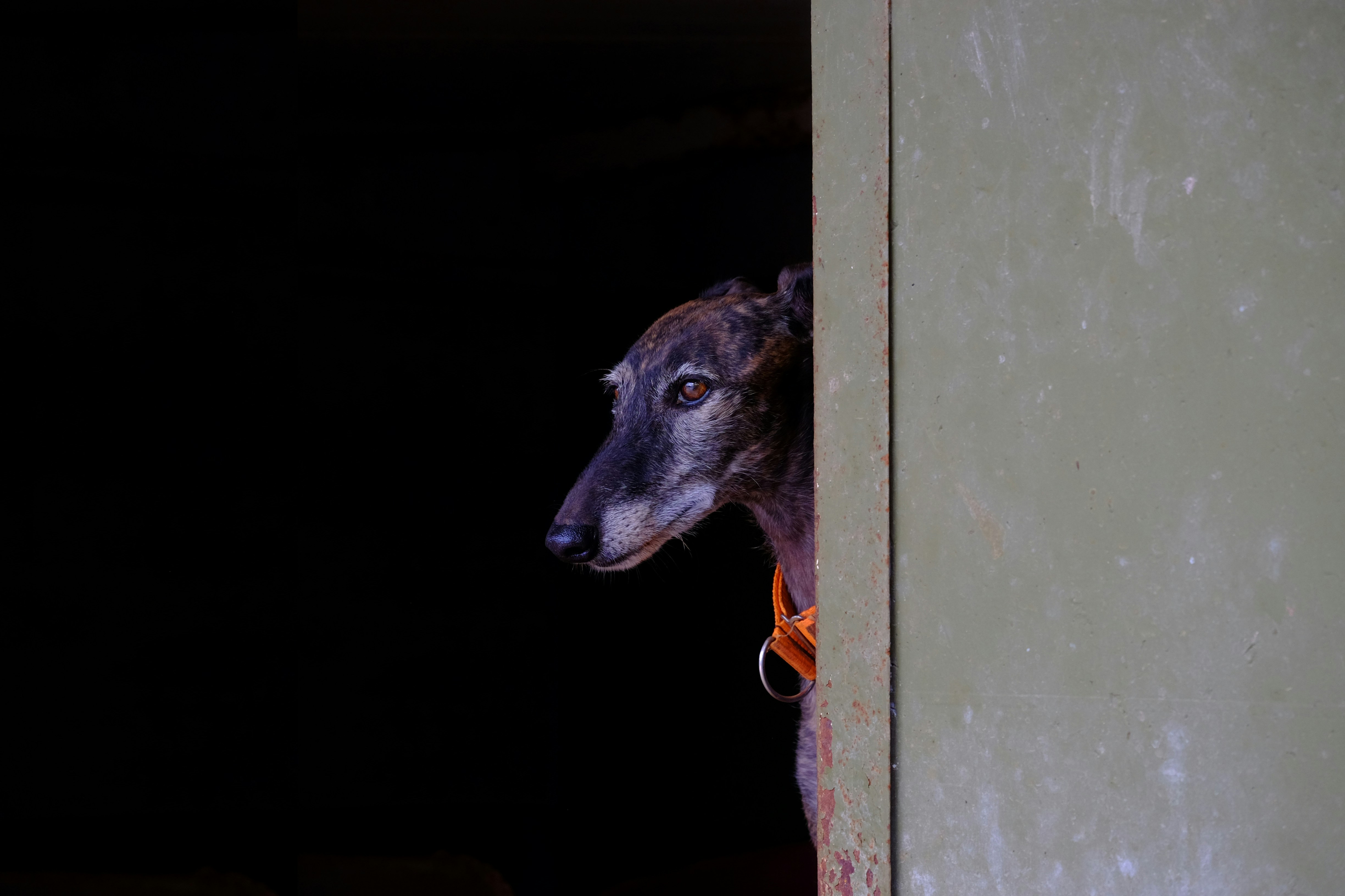 Photo by fraunhoferisc