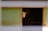 Two dogs are inside a dimly lit shelter. One dog is partially visible with light-colored fur peeking out from the entrance, while the other dog with darker fur is sitting further back in the shadows.