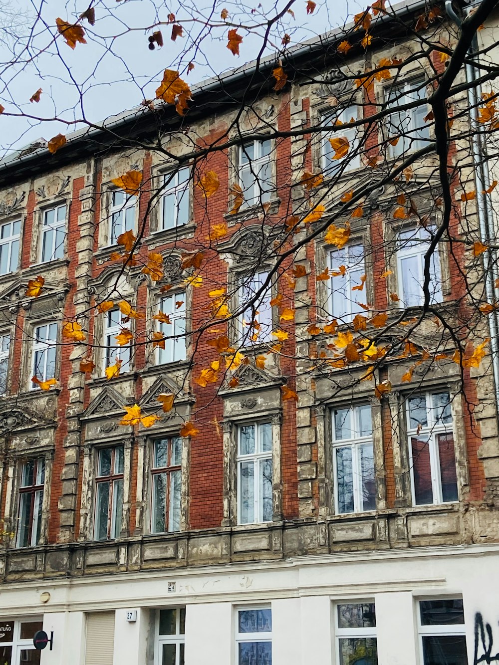 a tall building with lots of windows next to a tree