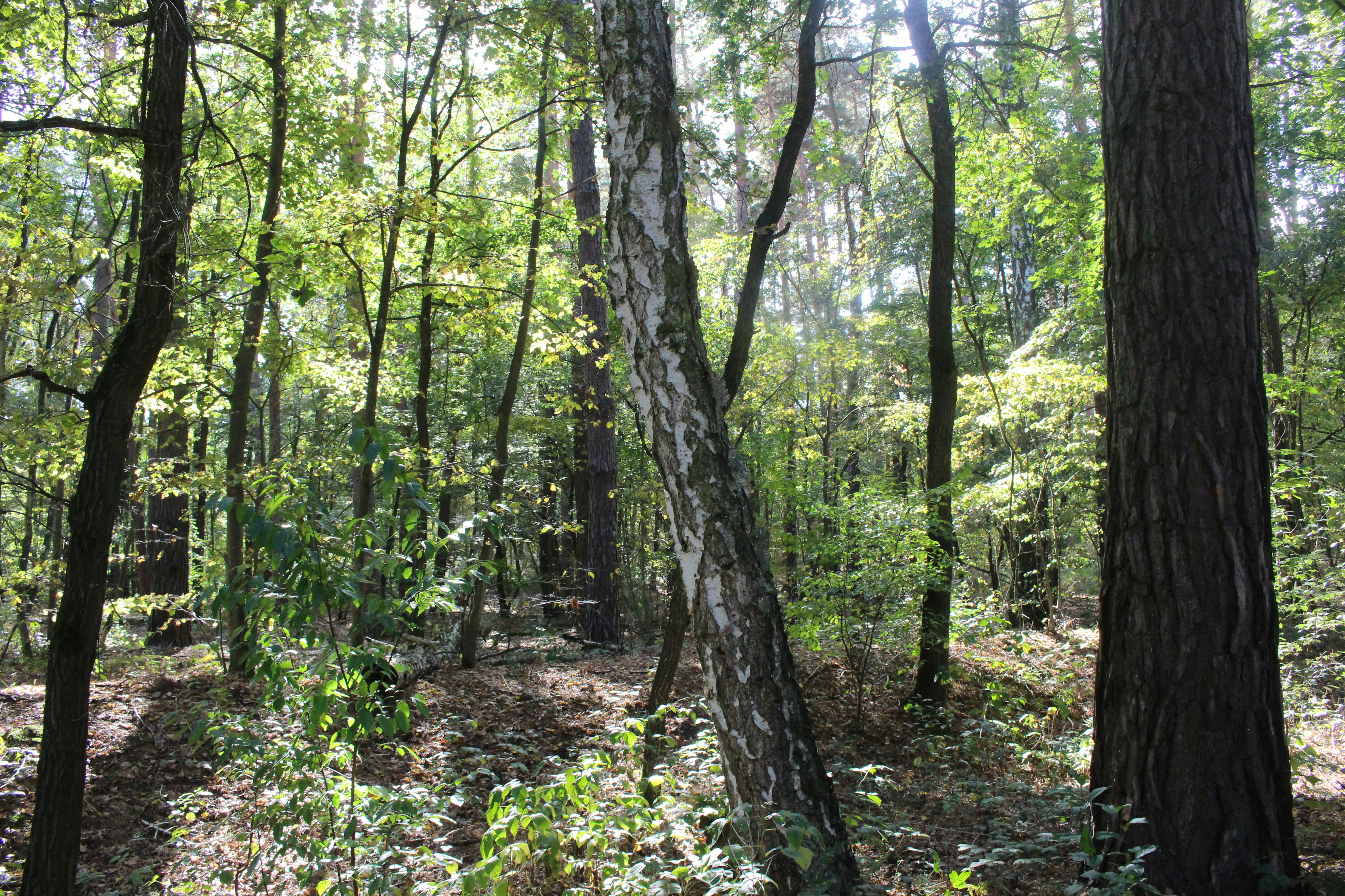 Photo by marjorylucabaxter