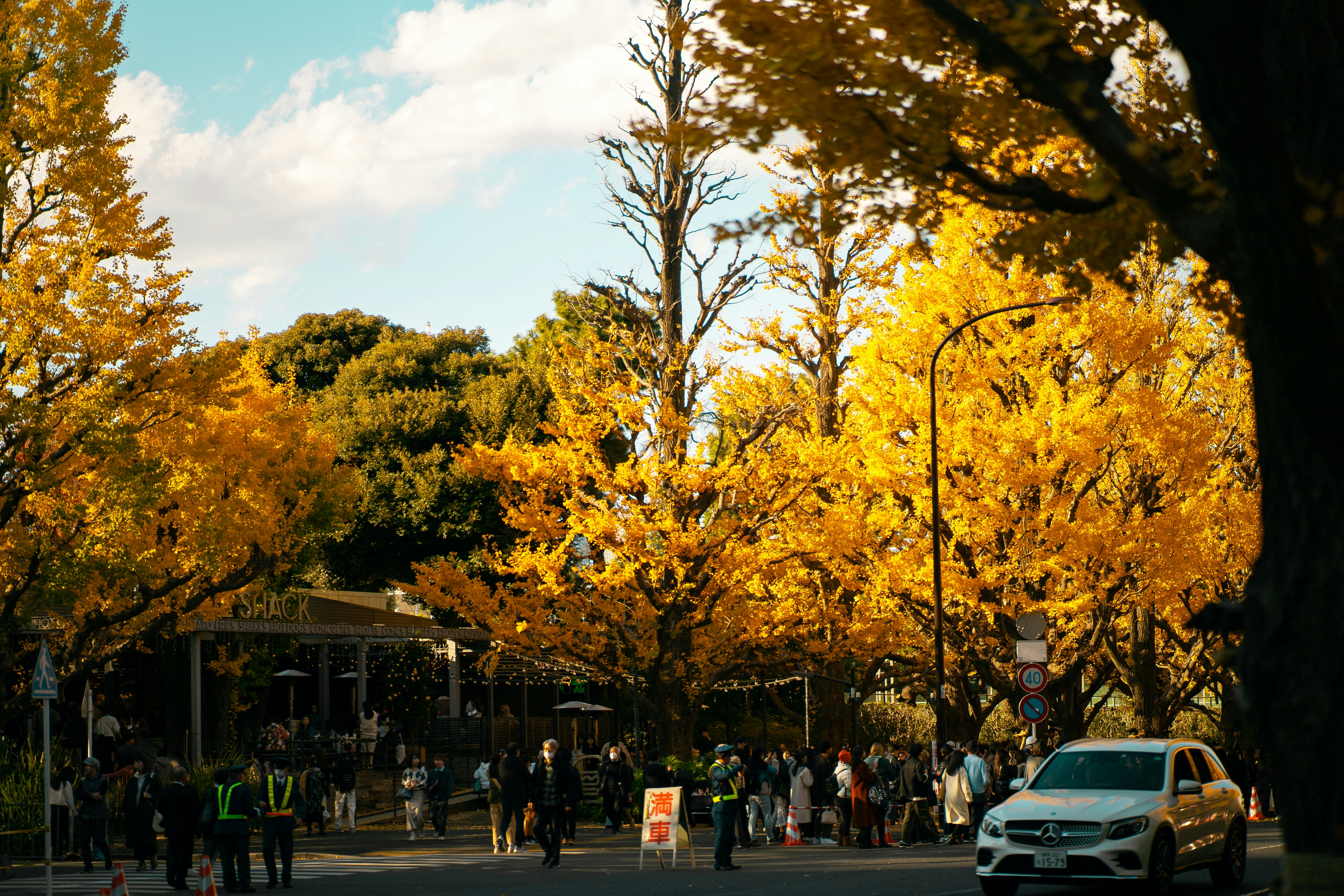 a crowd of people walking down a street next to trees with yellow leaves, 
