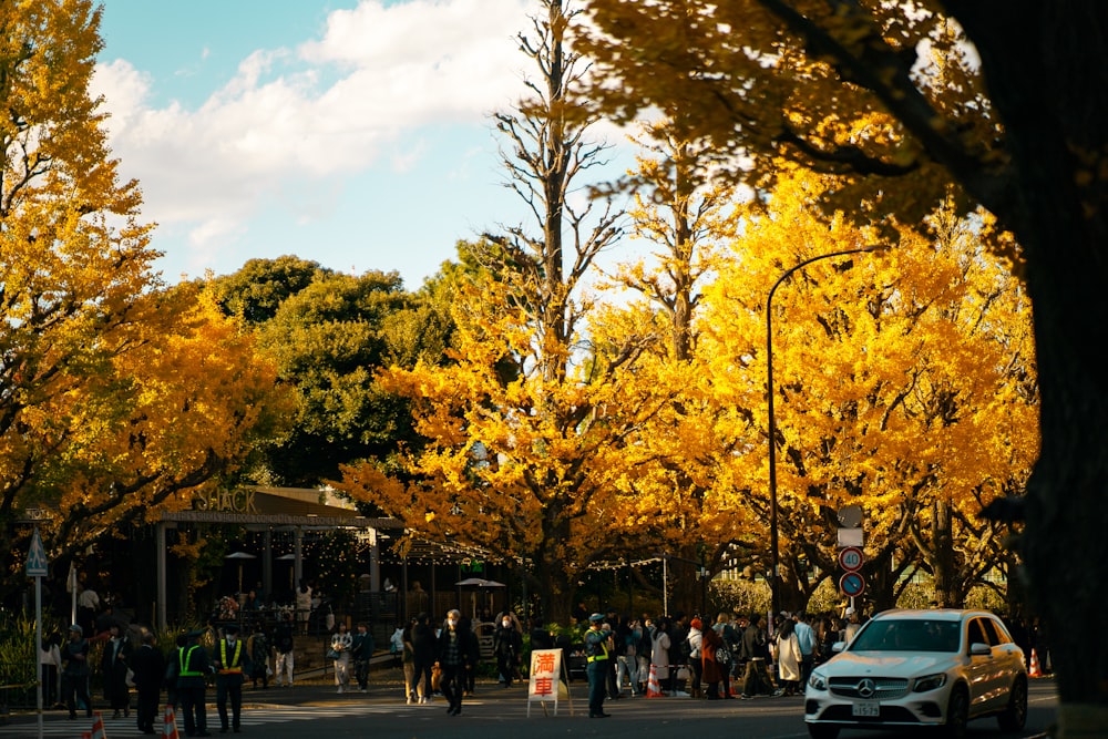 a crowd of people walking down a street next to trees with yellow leaves