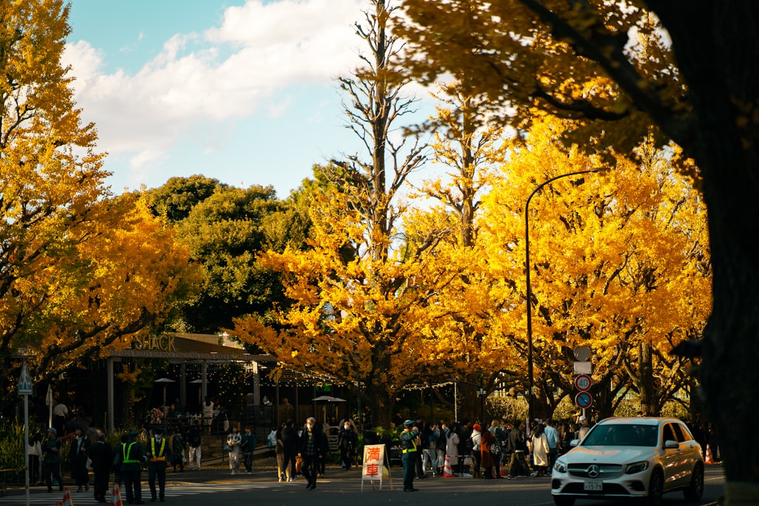 7 Hidden Gems for Autumn Leaf Viewing in Japan This November - Taka… — 7 Hidden Gems for Autumn Leaf
