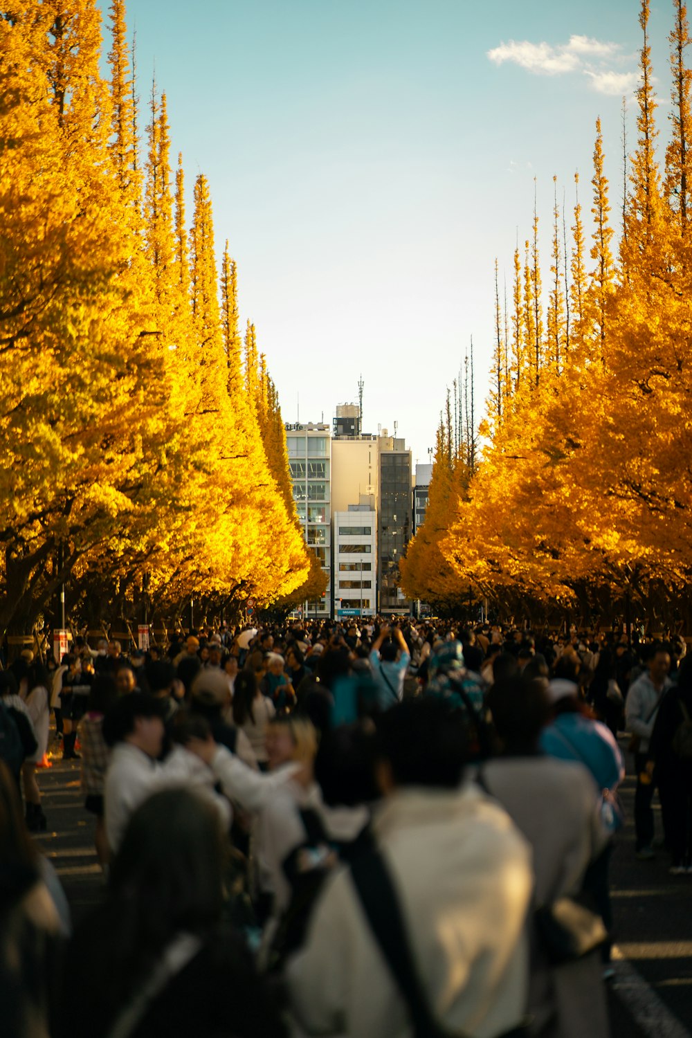 uma multidão de pessoas caminhando por uma rua ao lado de árvores altas