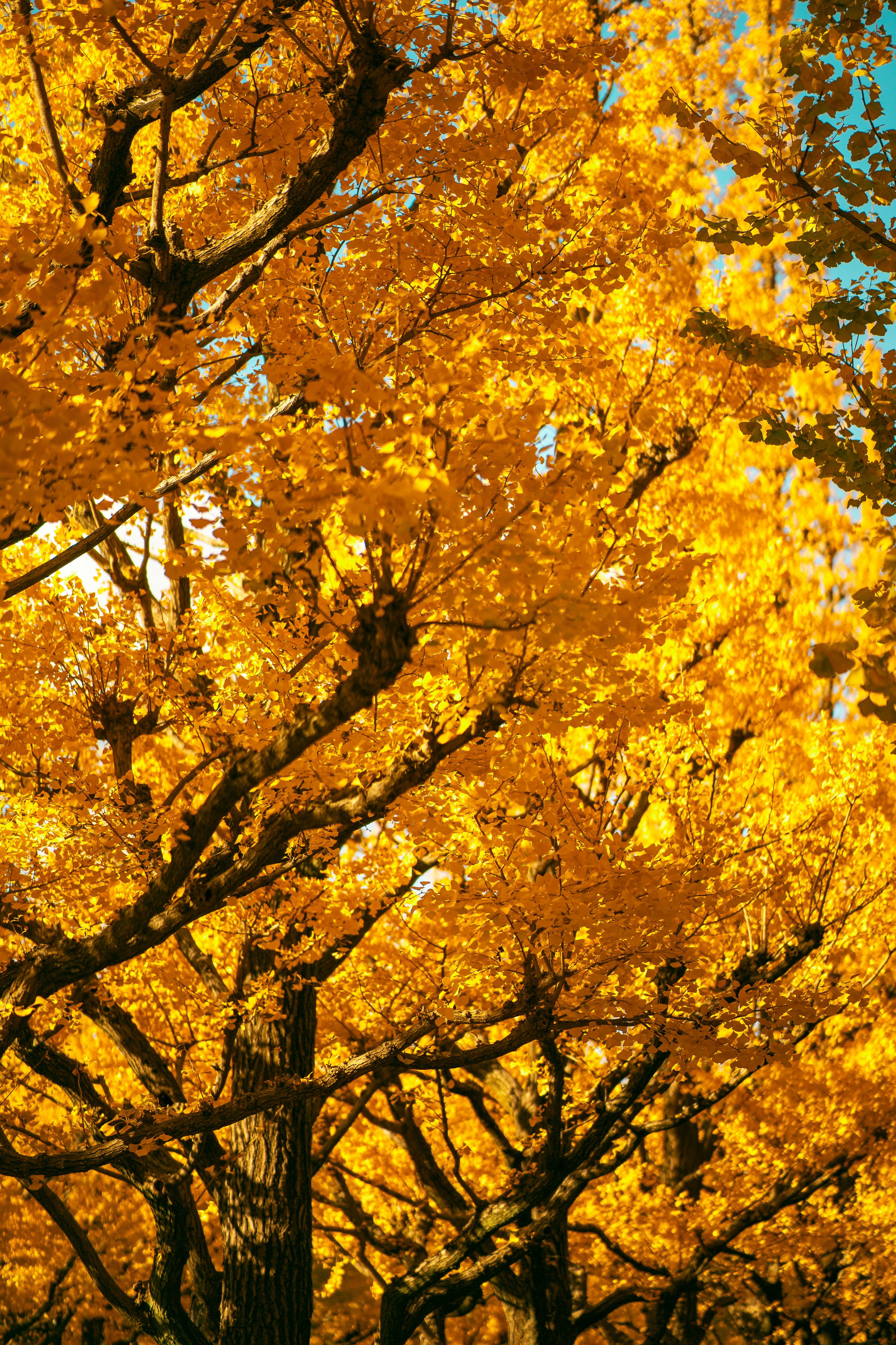 Photo by shields_mcmxcix