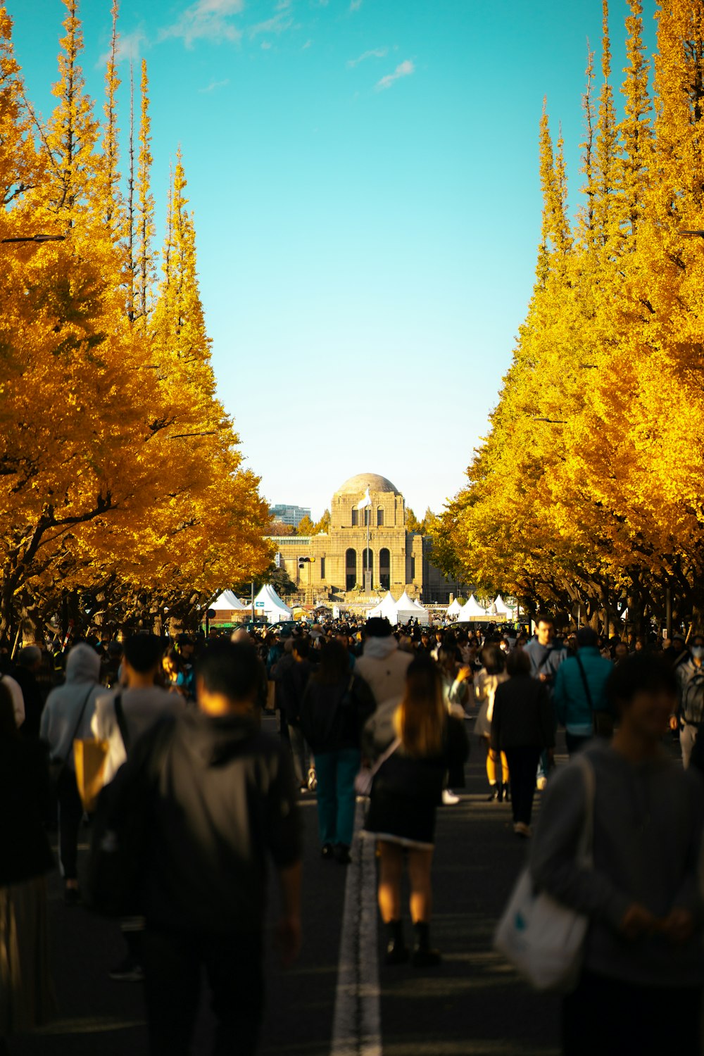 a crowd of people walking down a street next to tall trees