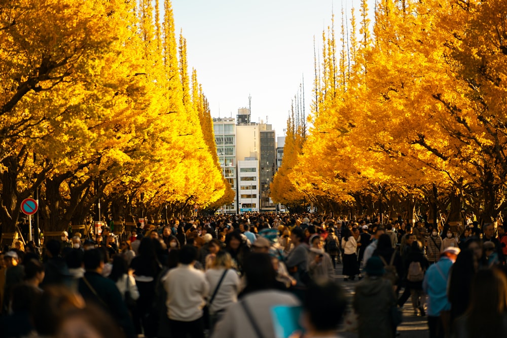 uma multidão de pessoas caminhando por uma rua ao lado de altas árvores amarelas