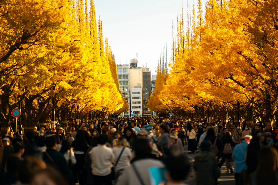Tokyo in Autumn