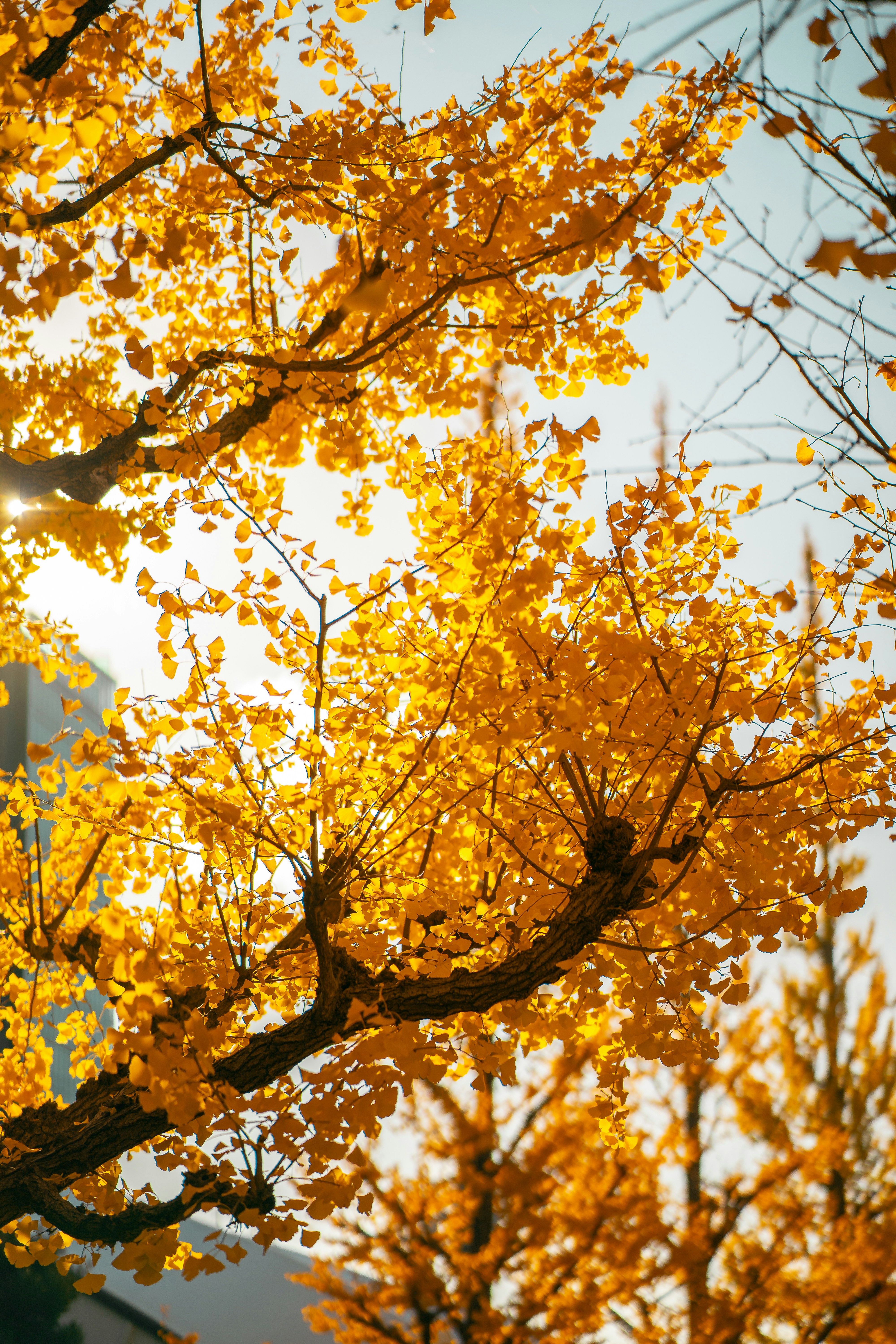 Photo by shields_mcmxcix