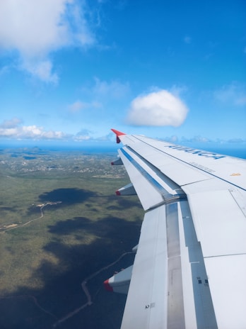 An airplane wing with a red tip is visible from a passenger window. The sky is bright blue with a few fluffy white clouds. Below, there is a vast expanse of green landscape with winding roads visible. The ocean is seen in the distance near the horizon.