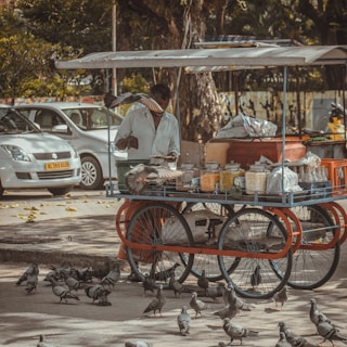 A street vendor is serving food on a mobile cart. The cart is filled with jars containing grains and snacks. Numerous pigeons are gathered around, feeding on the ground. In the background, a parked car and trees are visible, suggesting an urban outdoor setting.