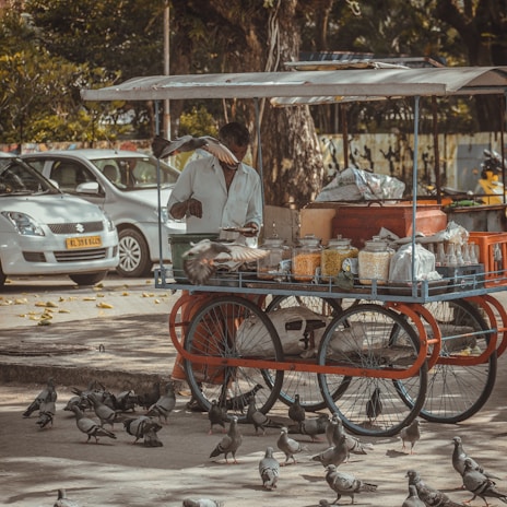 A street vendor is serving food on a mobile cart. The cart is filled with jars containing grains and snacks. Numerous pigeons are gathered around, feeding on the ground. In the background, a parked car and trees are visible, suggesting an urban outdoor setting.