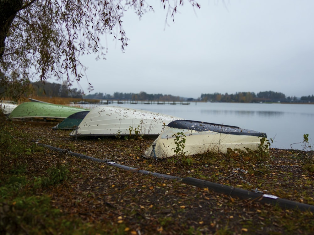 a couple of canoes that are sitting in the grass