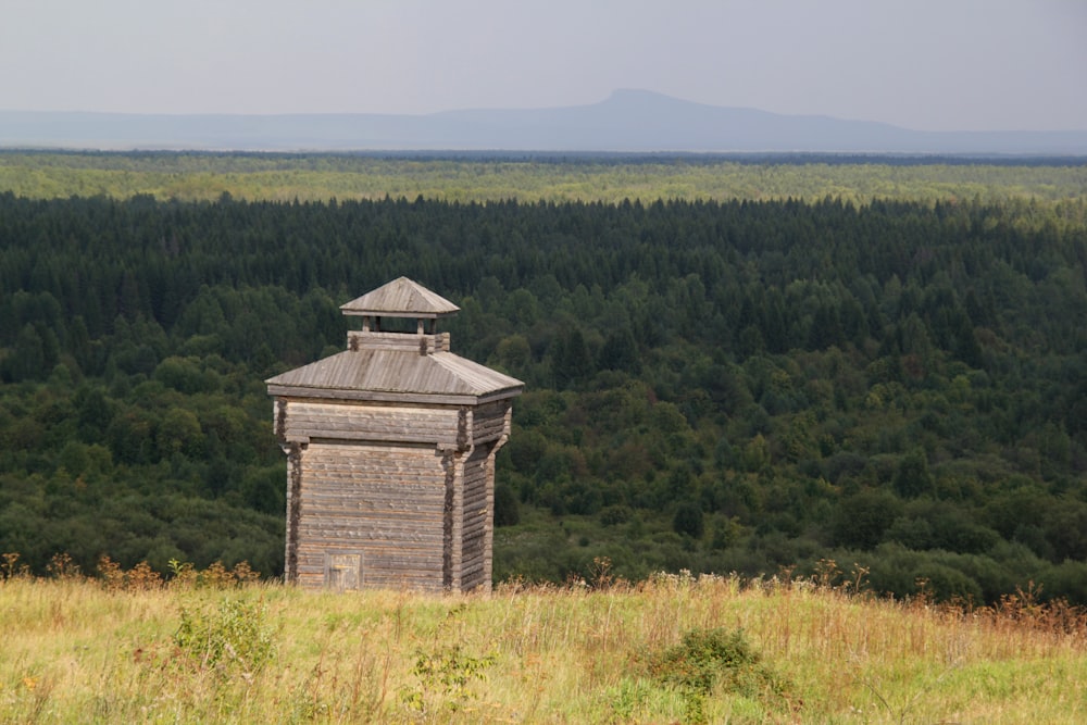 a tall tower sitting in the middle of a lush green forest