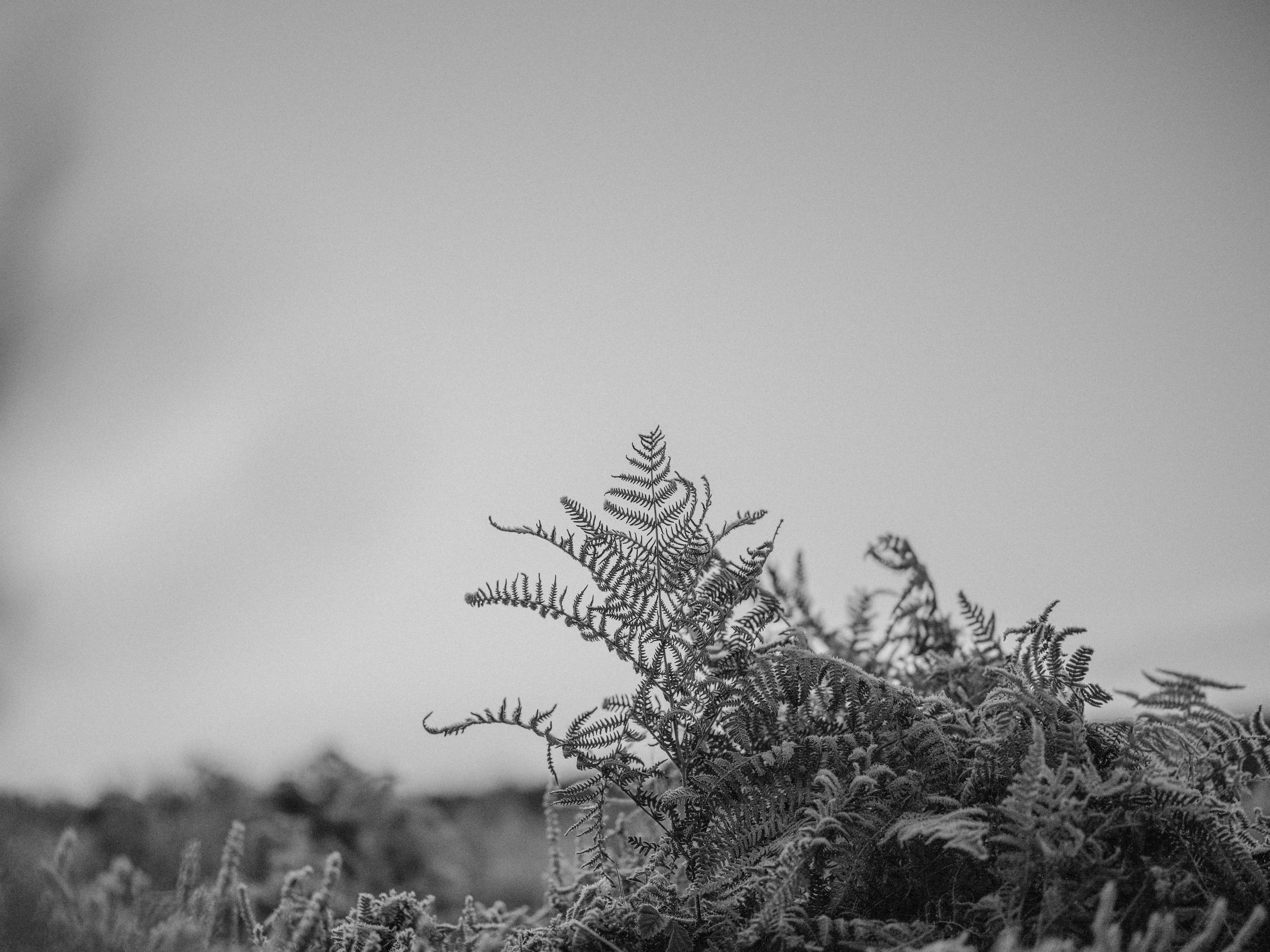 Photo by anniespratt