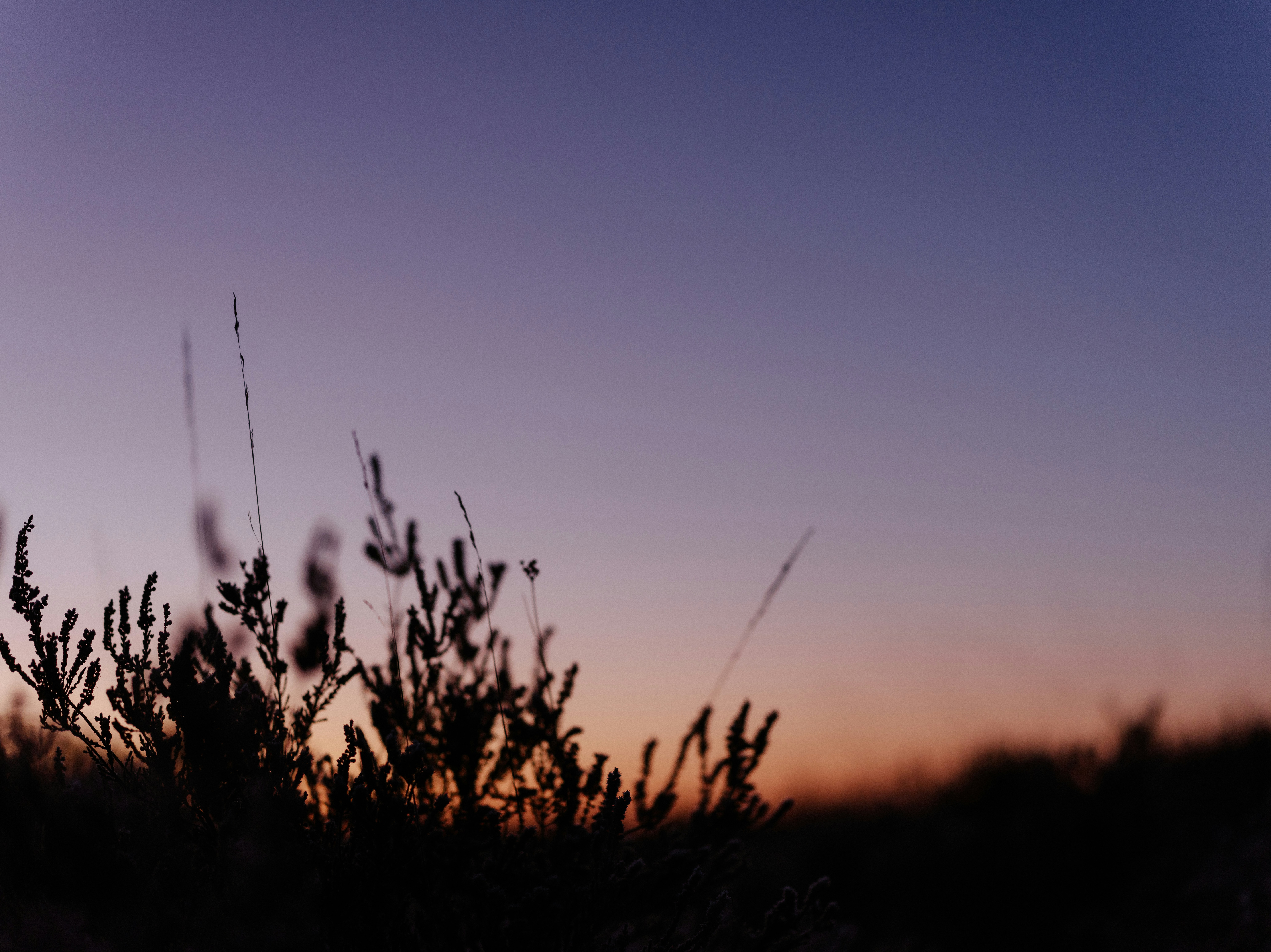 Photo by anniespratt