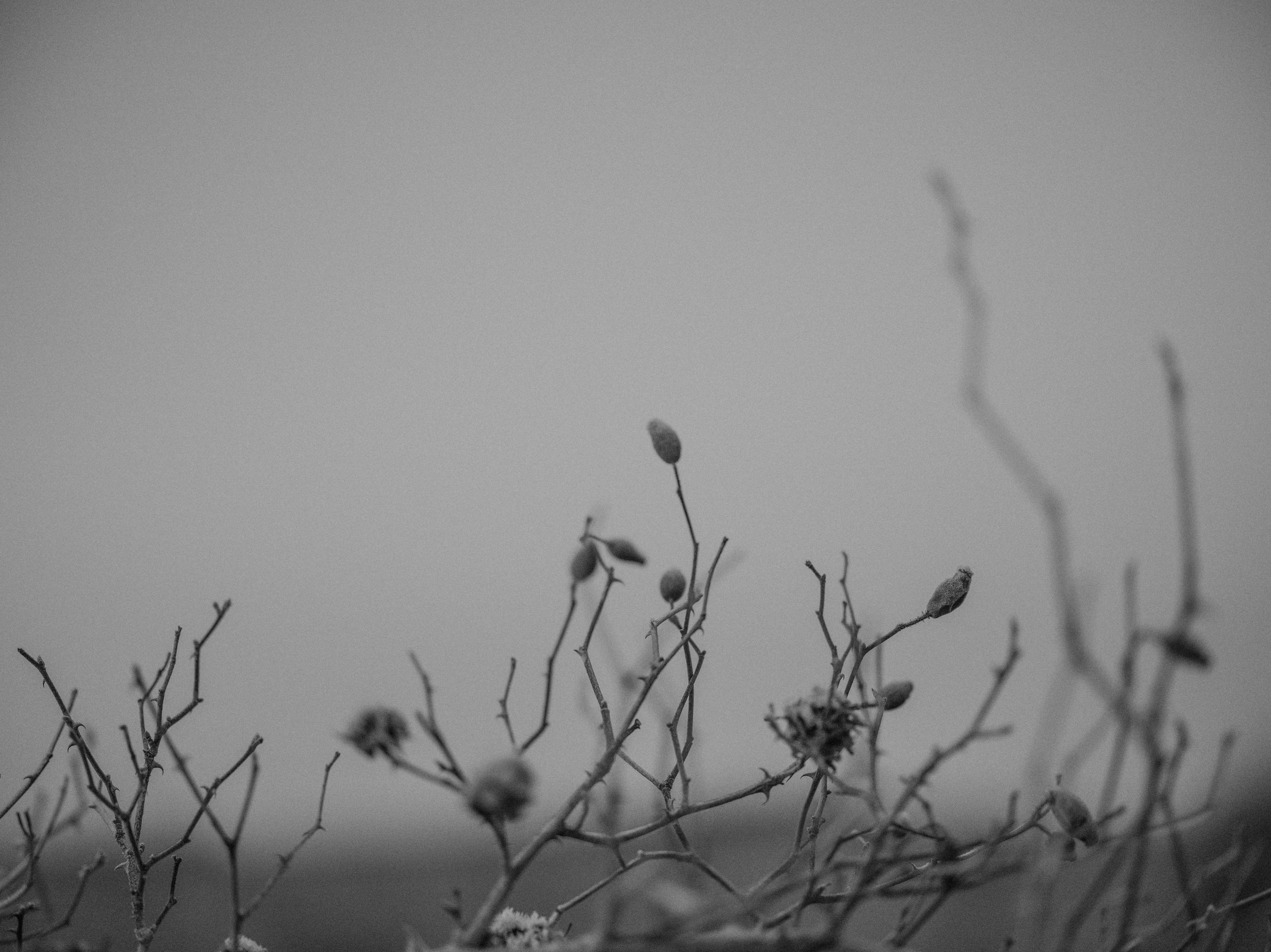 Photo by anniespratt