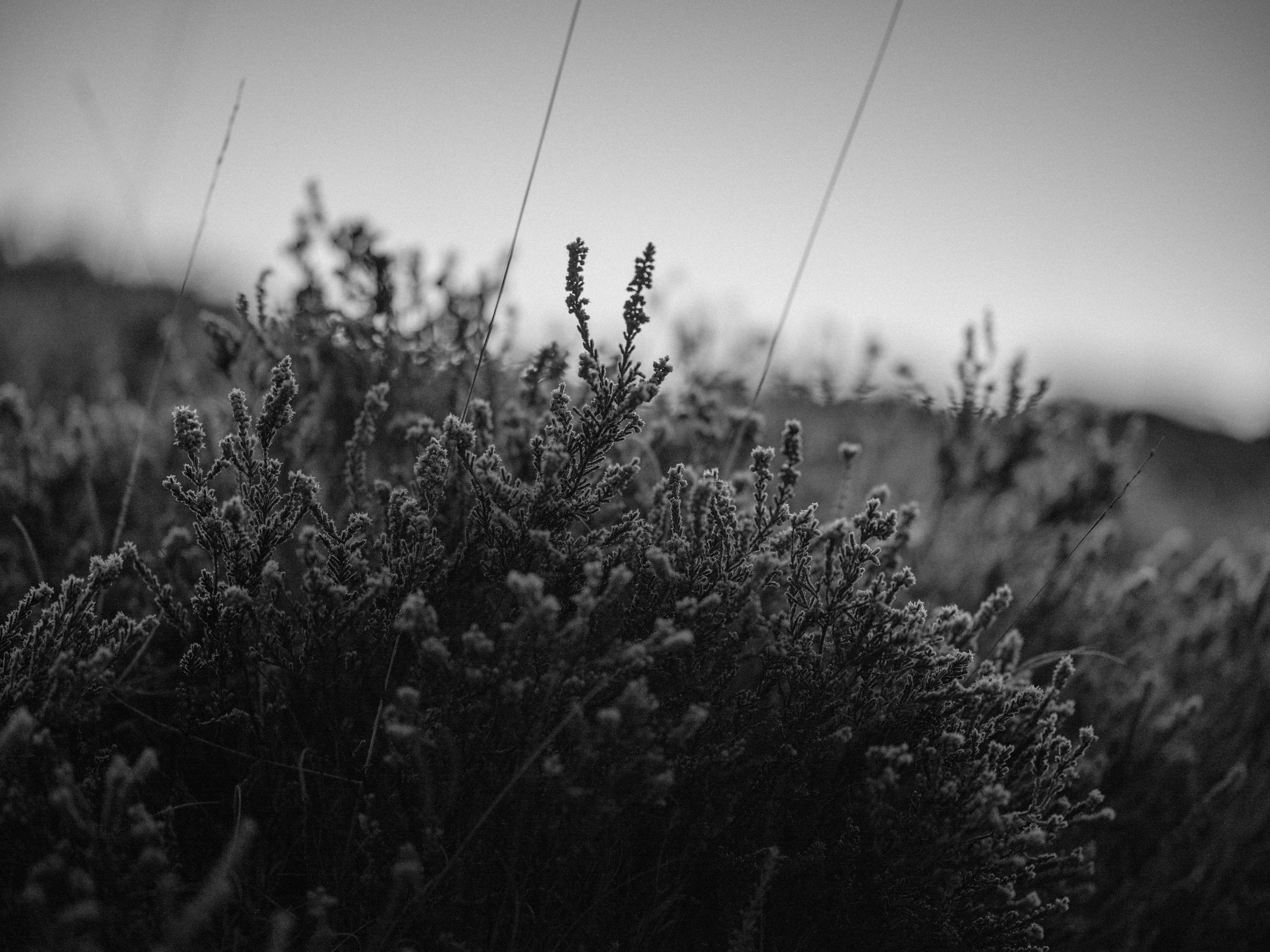 Photo by anniespratt