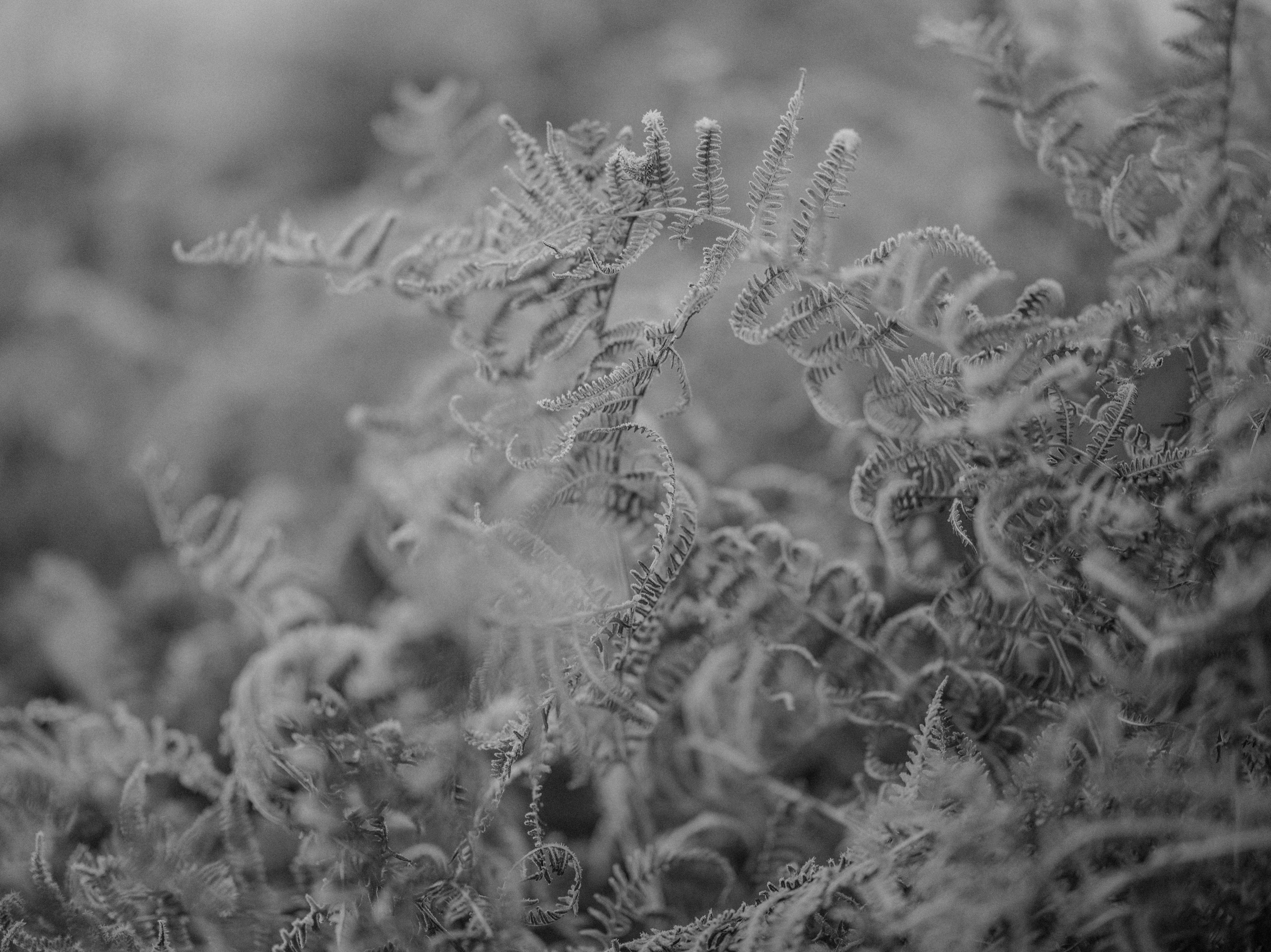 Photo by anniespratt