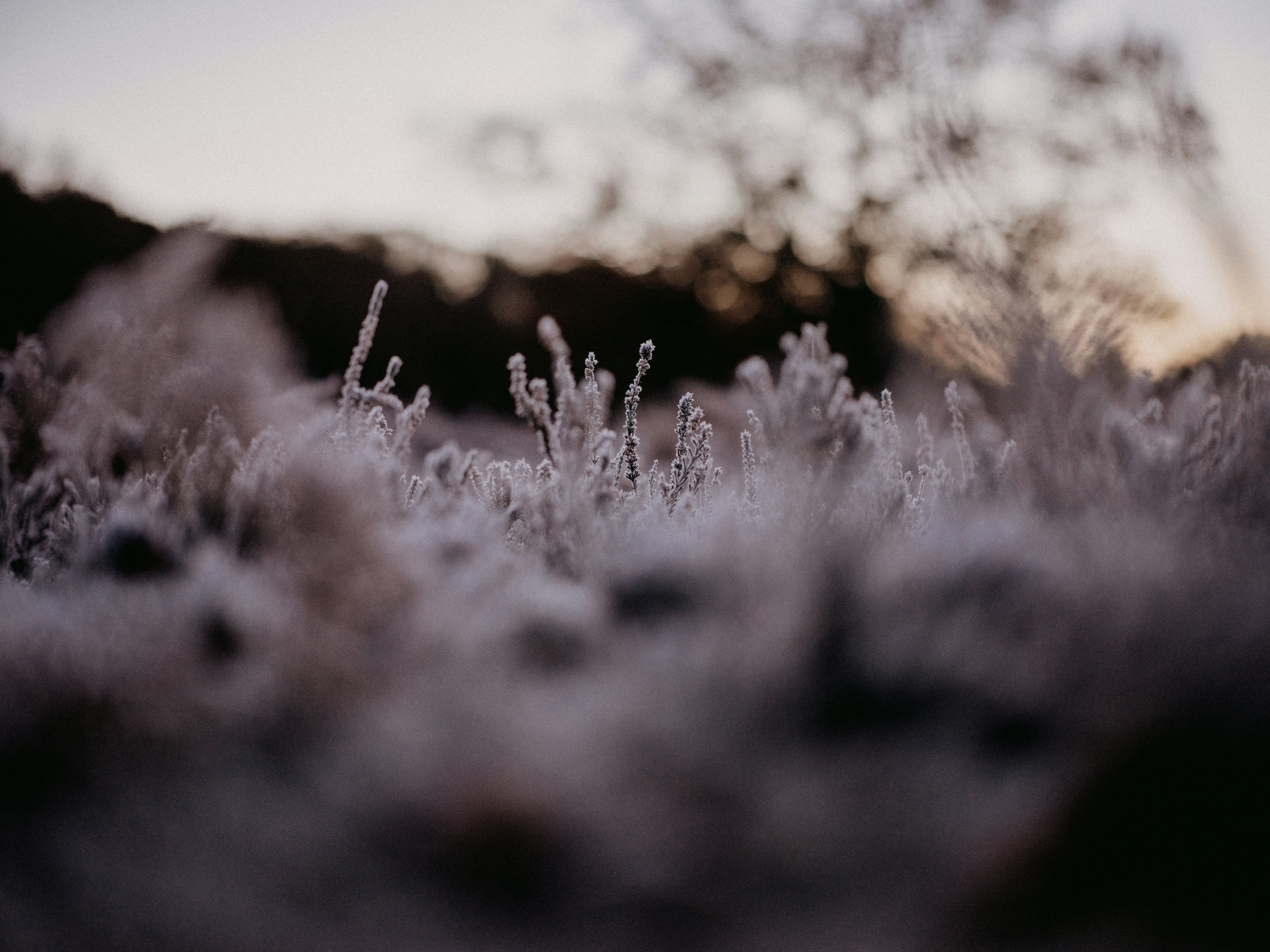 Photo by anniespratt