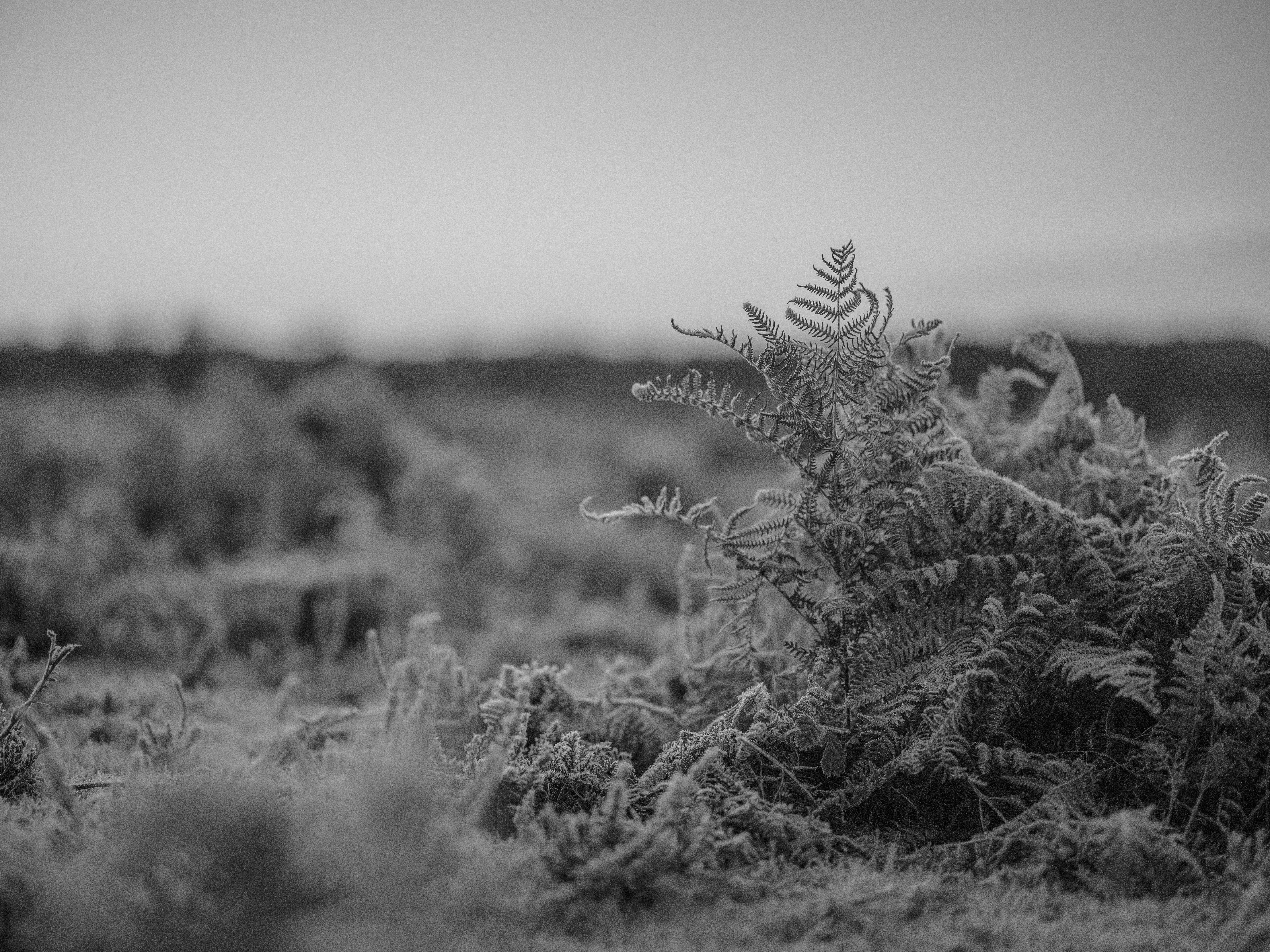 Photo by anniespratt