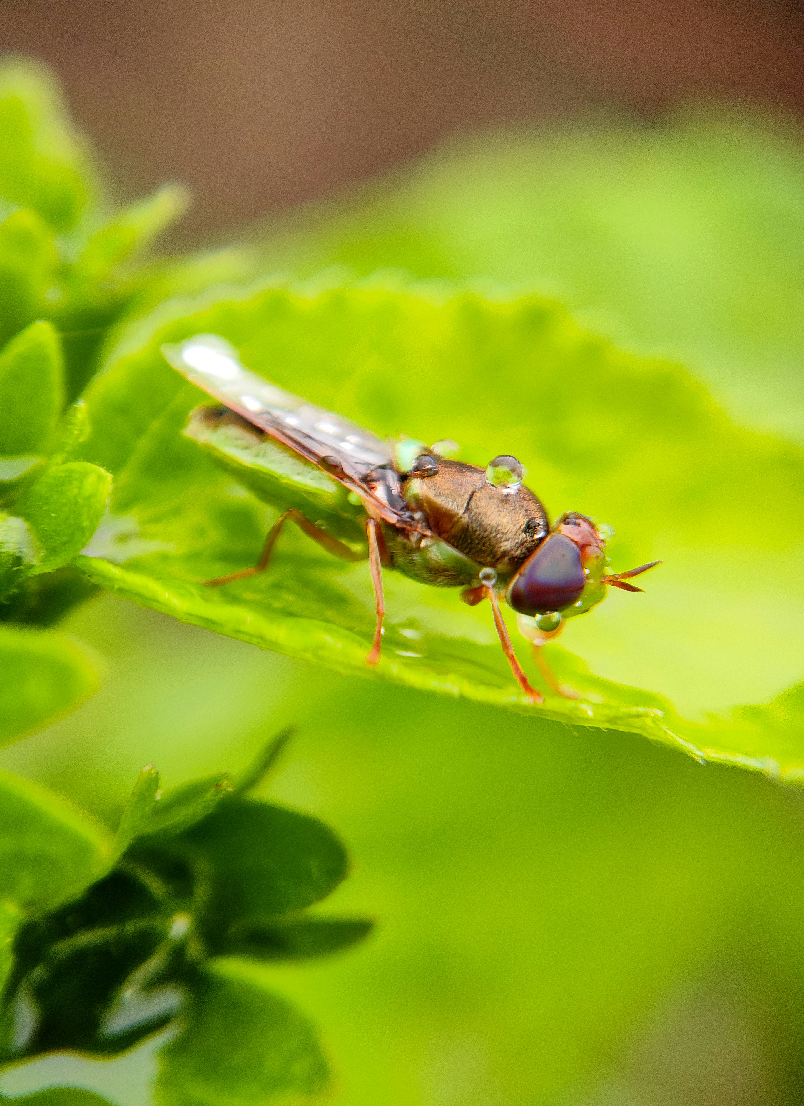 Photo by macrosam