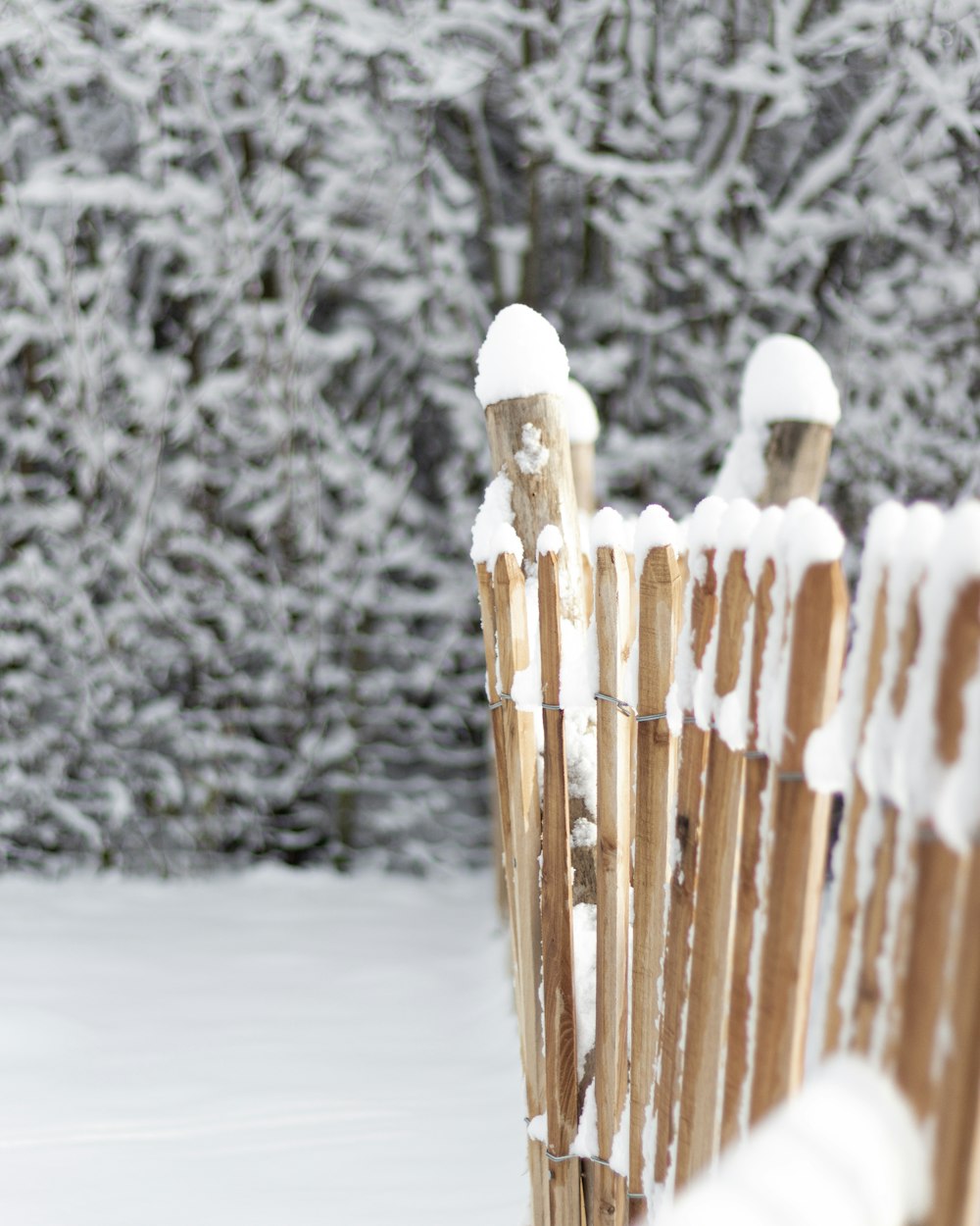 a wooden fence covered in snow next to a forest