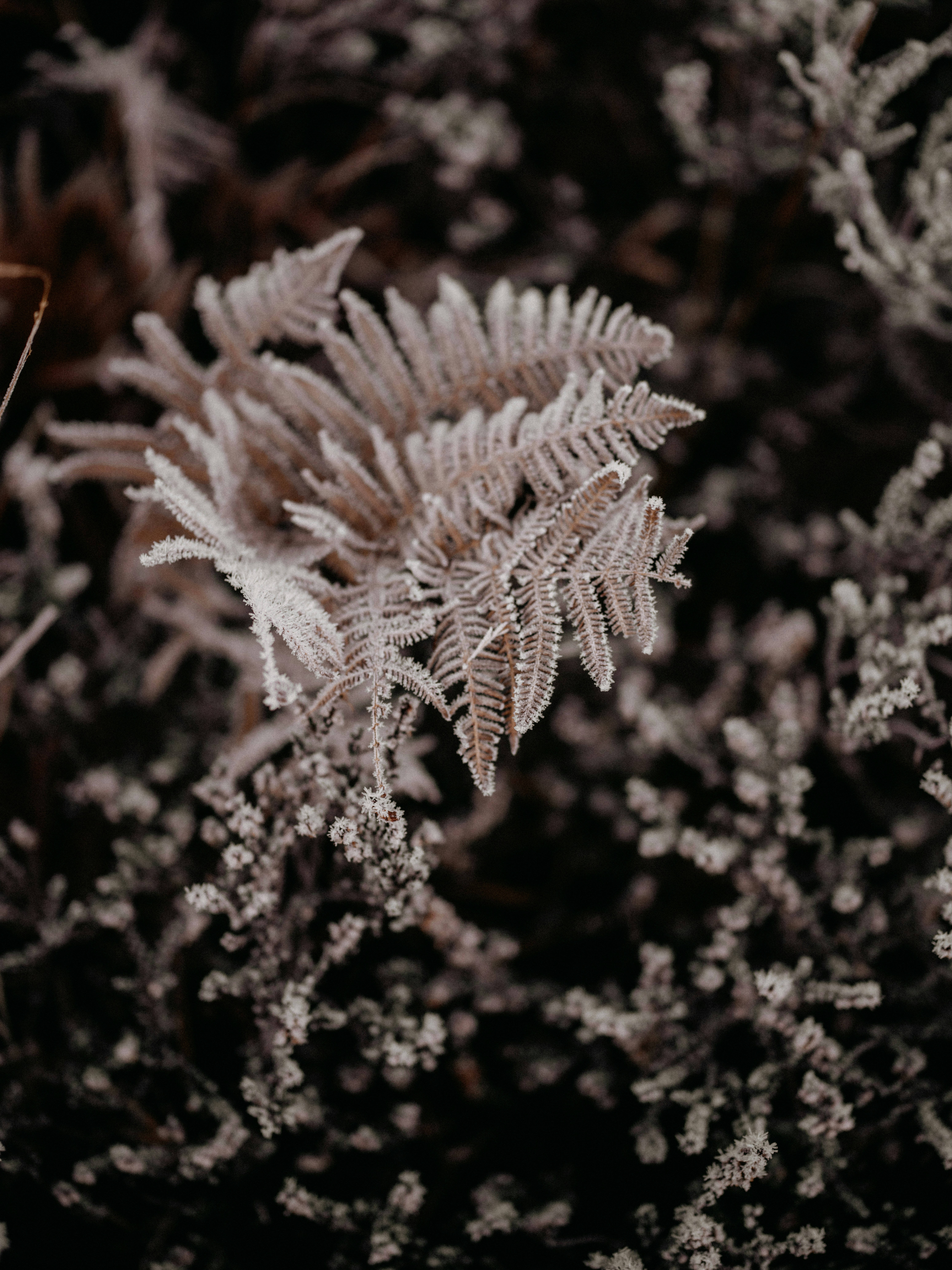 Photo by anniespratt