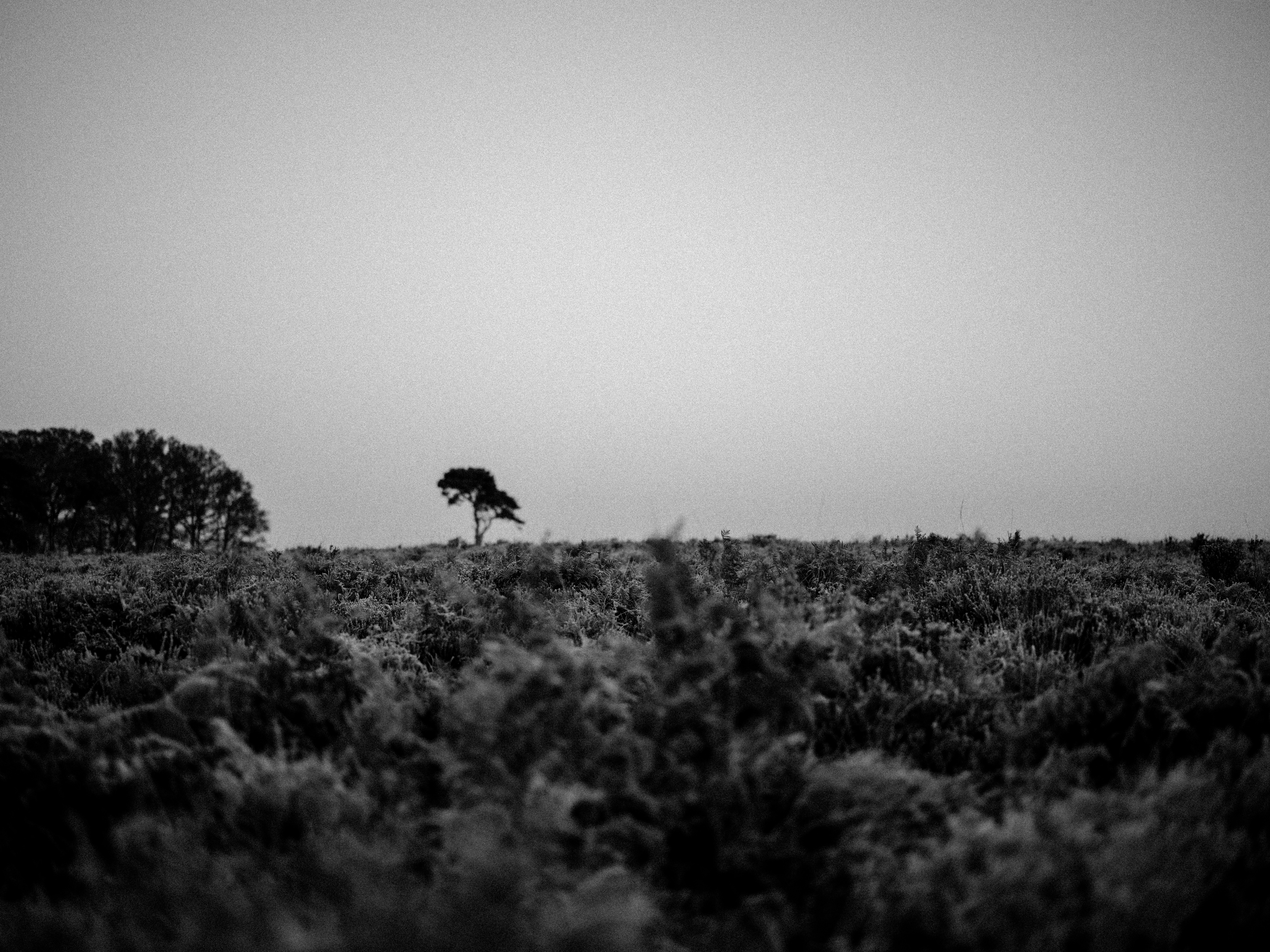 Photo by anniespratt