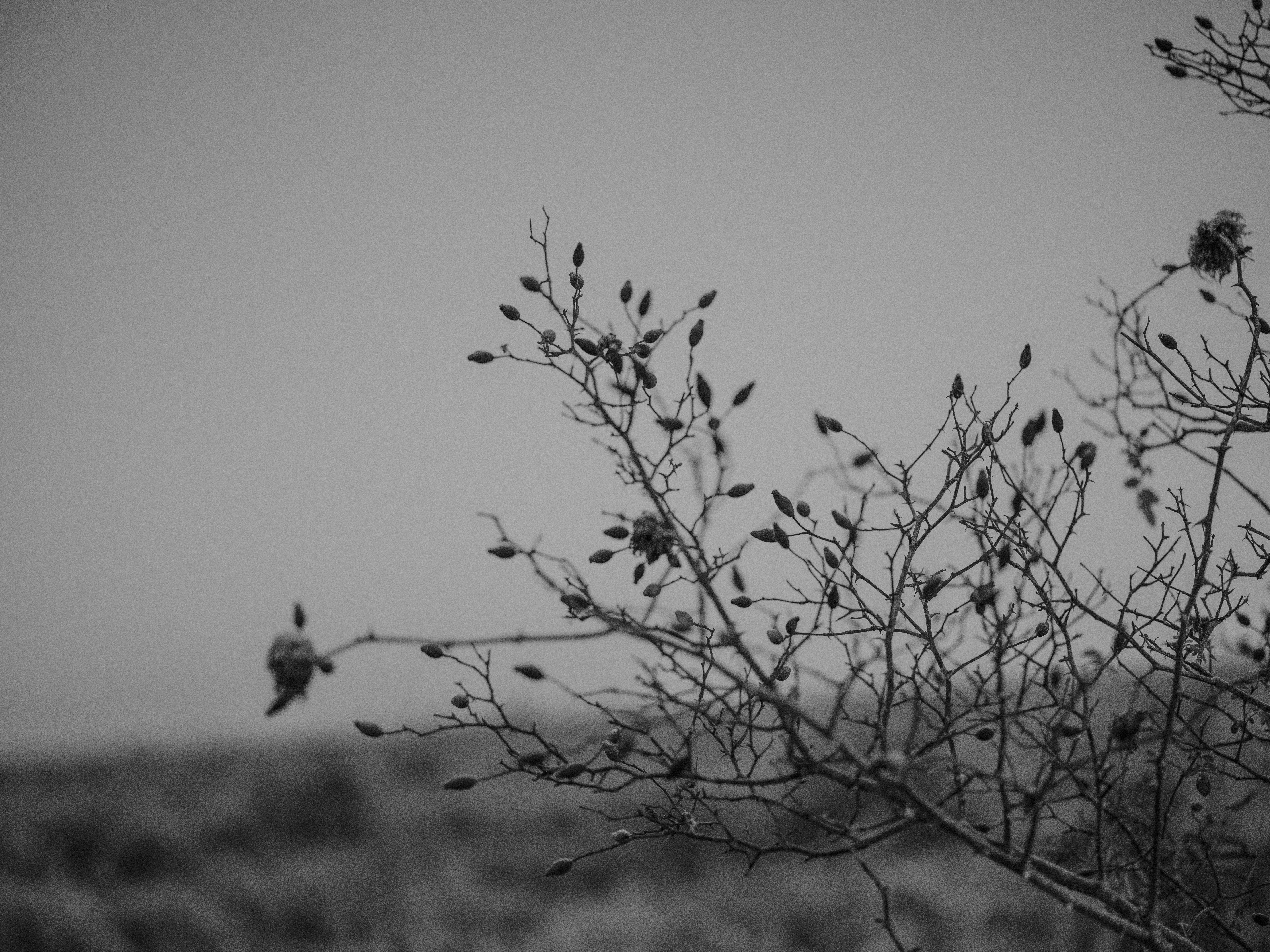 Photo by anniespratt