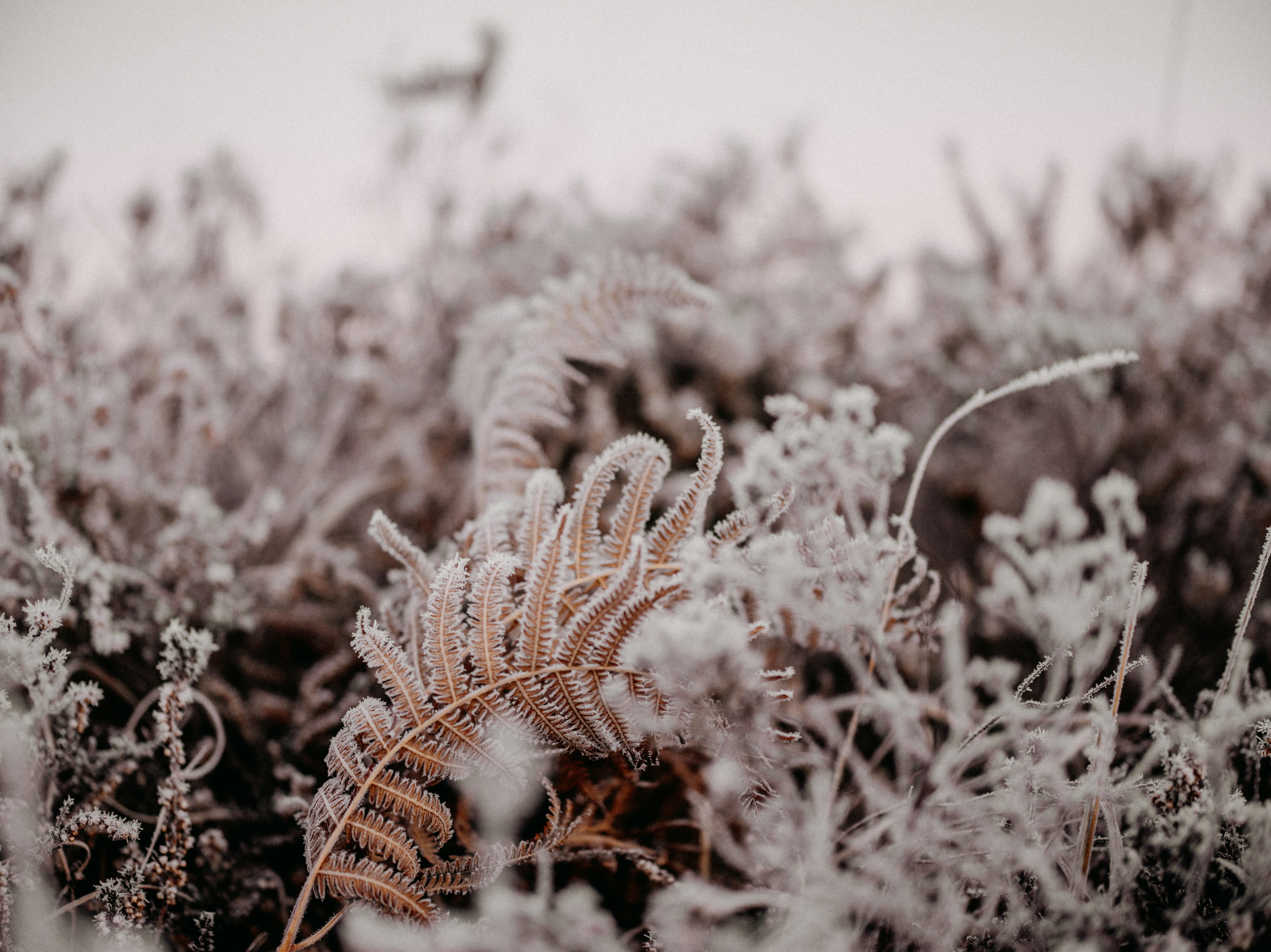 Photo by anniespratt