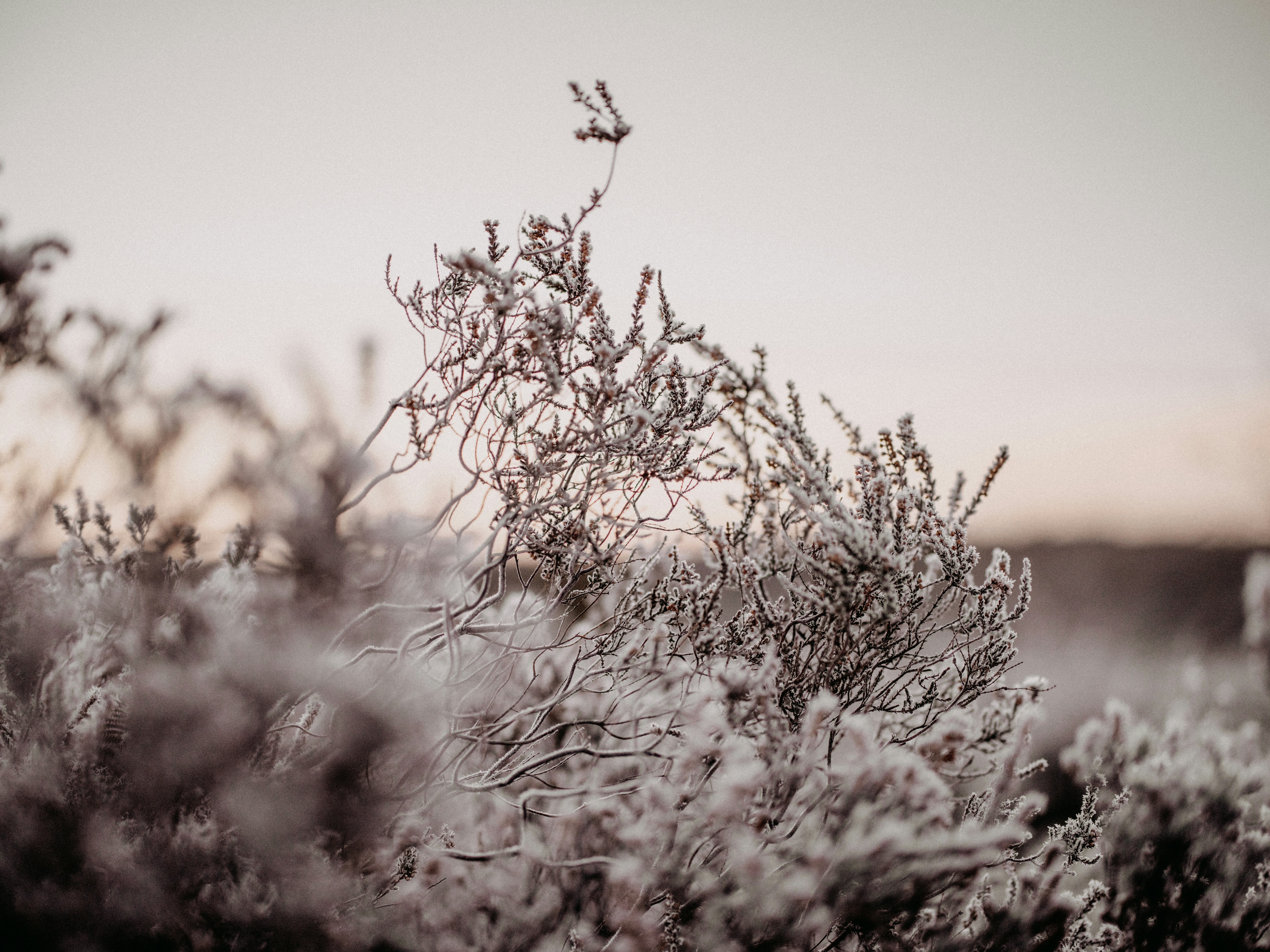 Photo by anniespratt