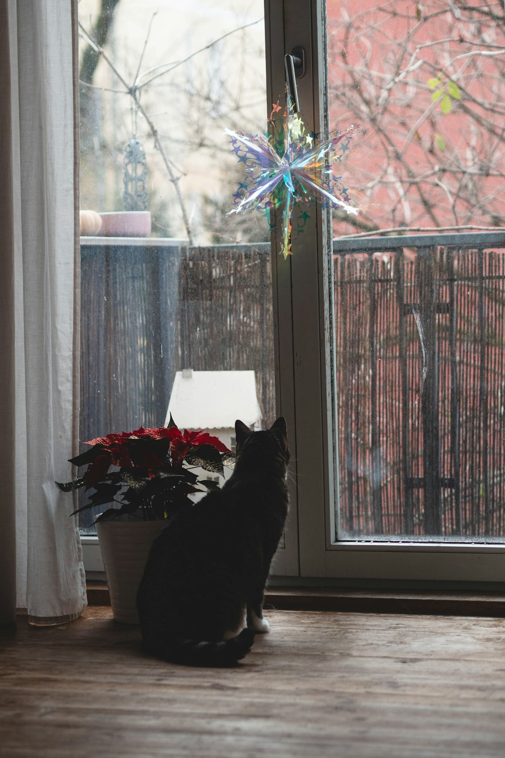un gatto nero seduto davanti a una finestra