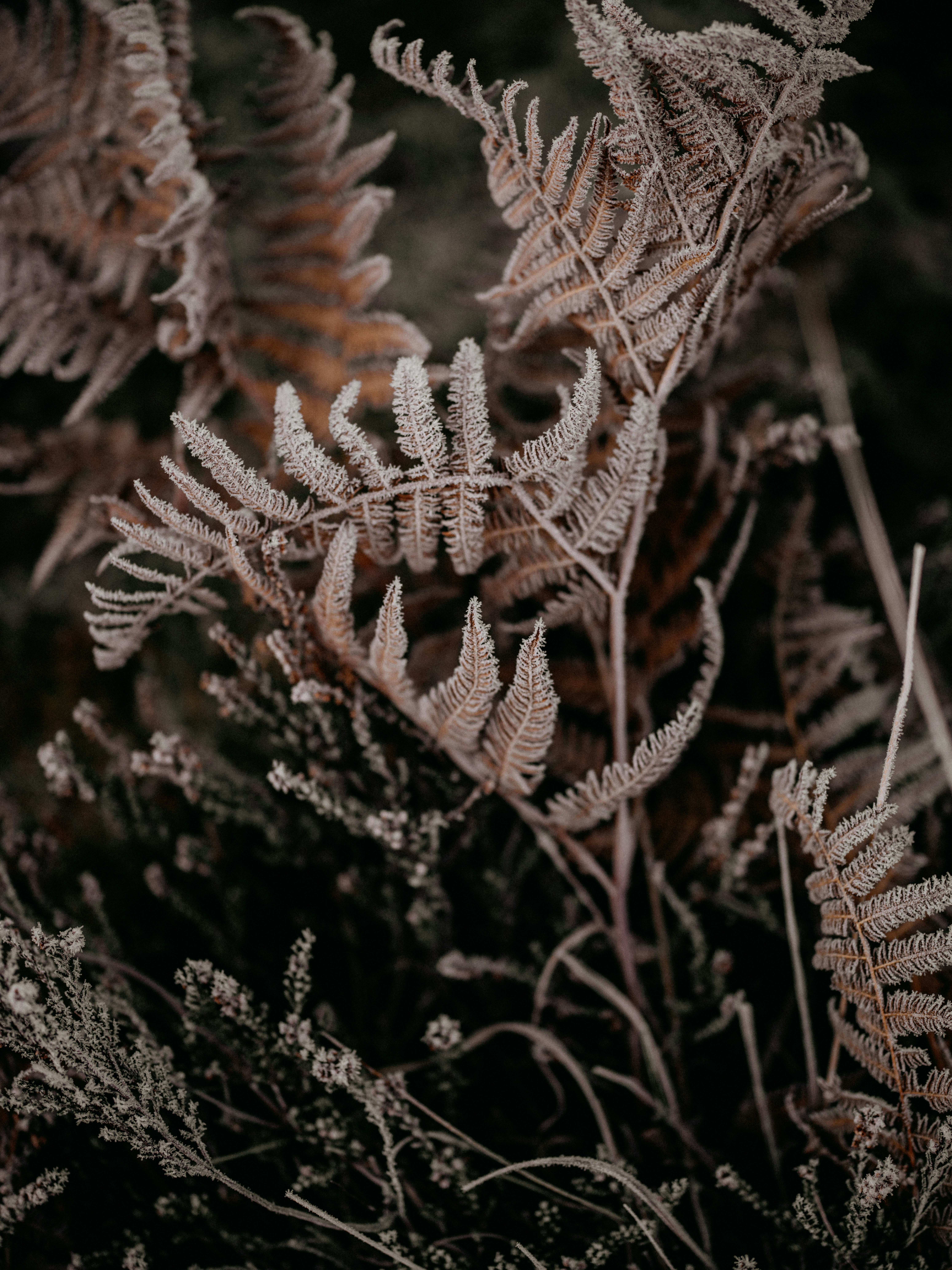 Photo by anniespratt